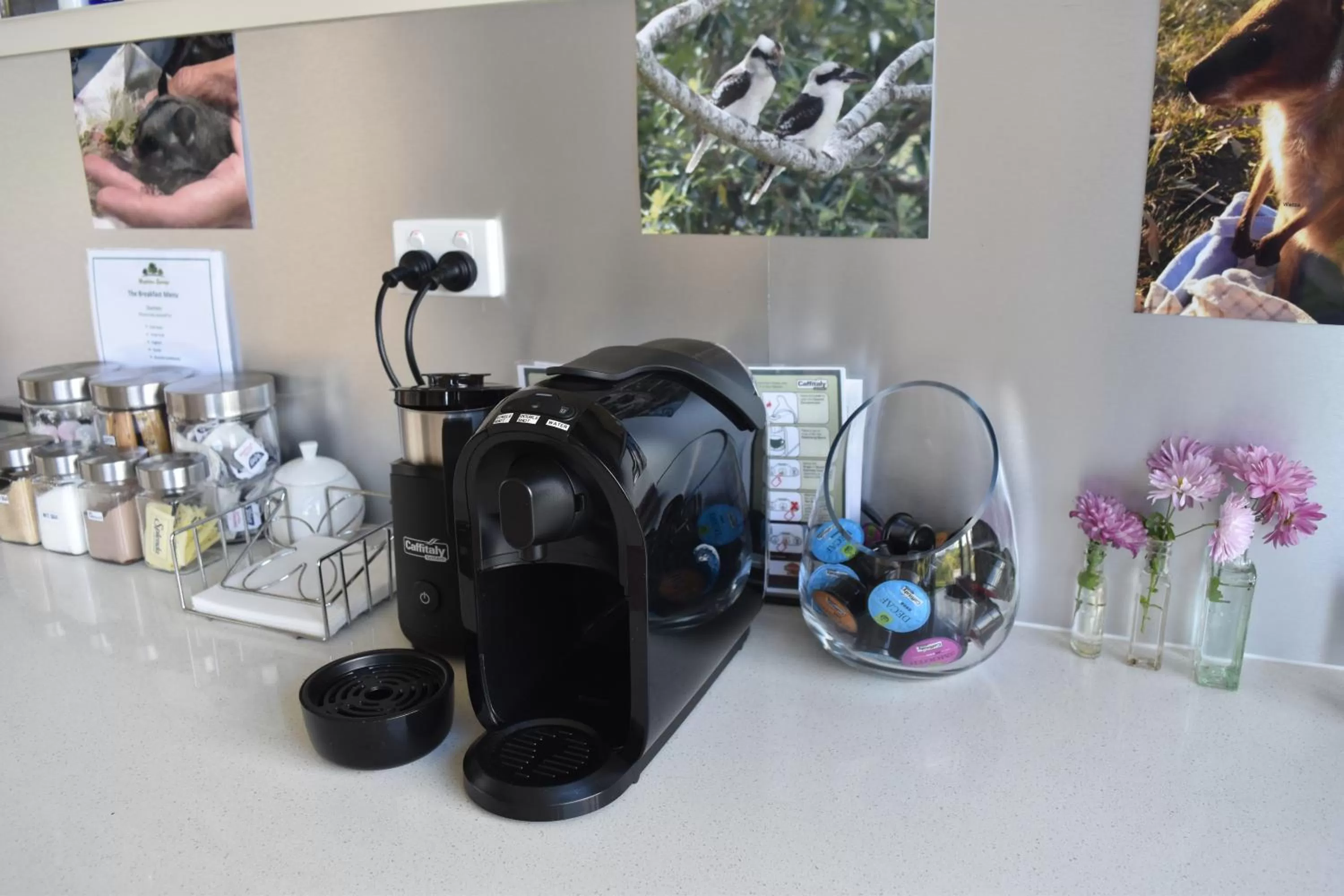 Coffee/tea facilities in Mapleton Springs