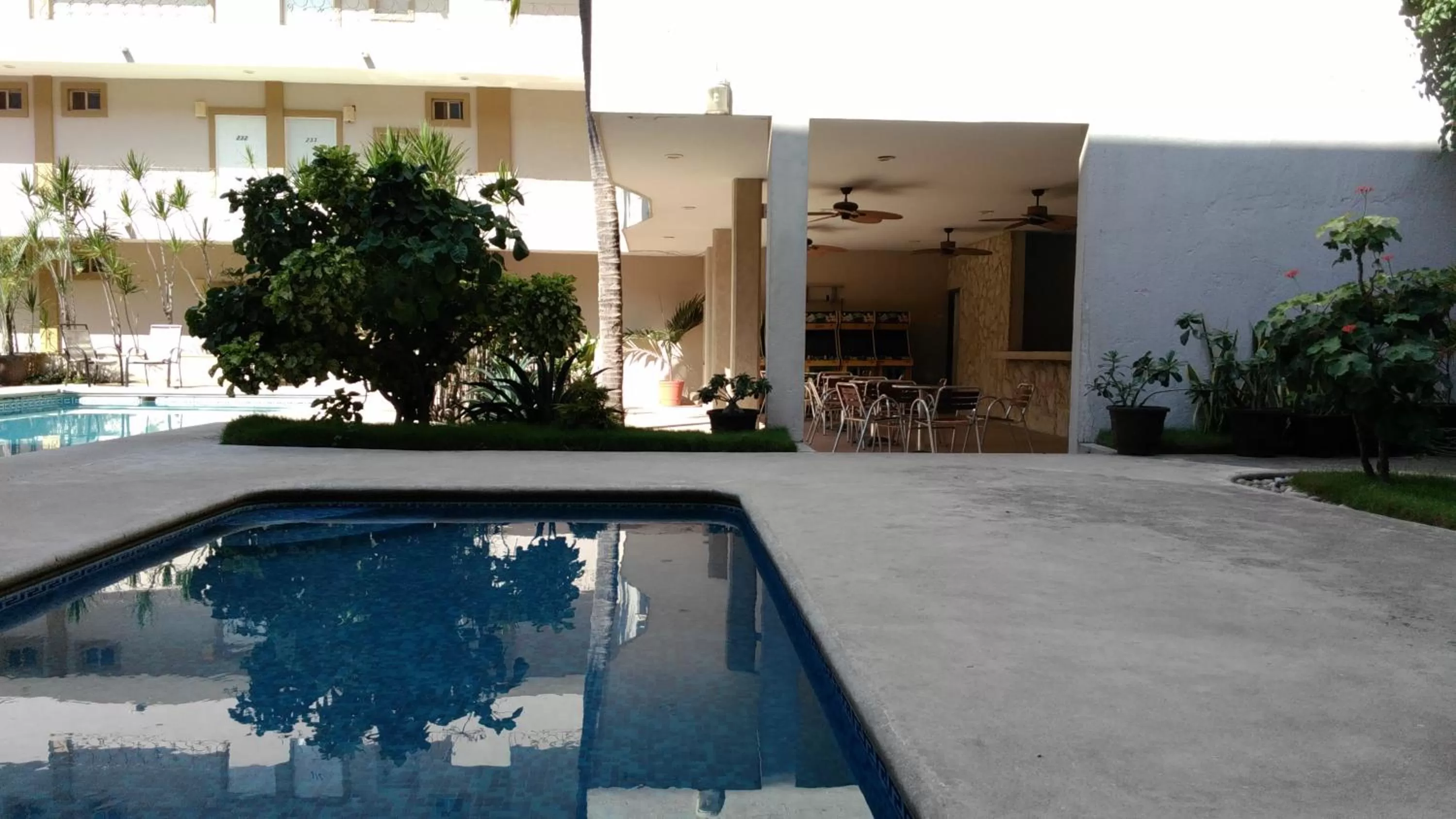 Food and drinks in Hotel Mediterraneo