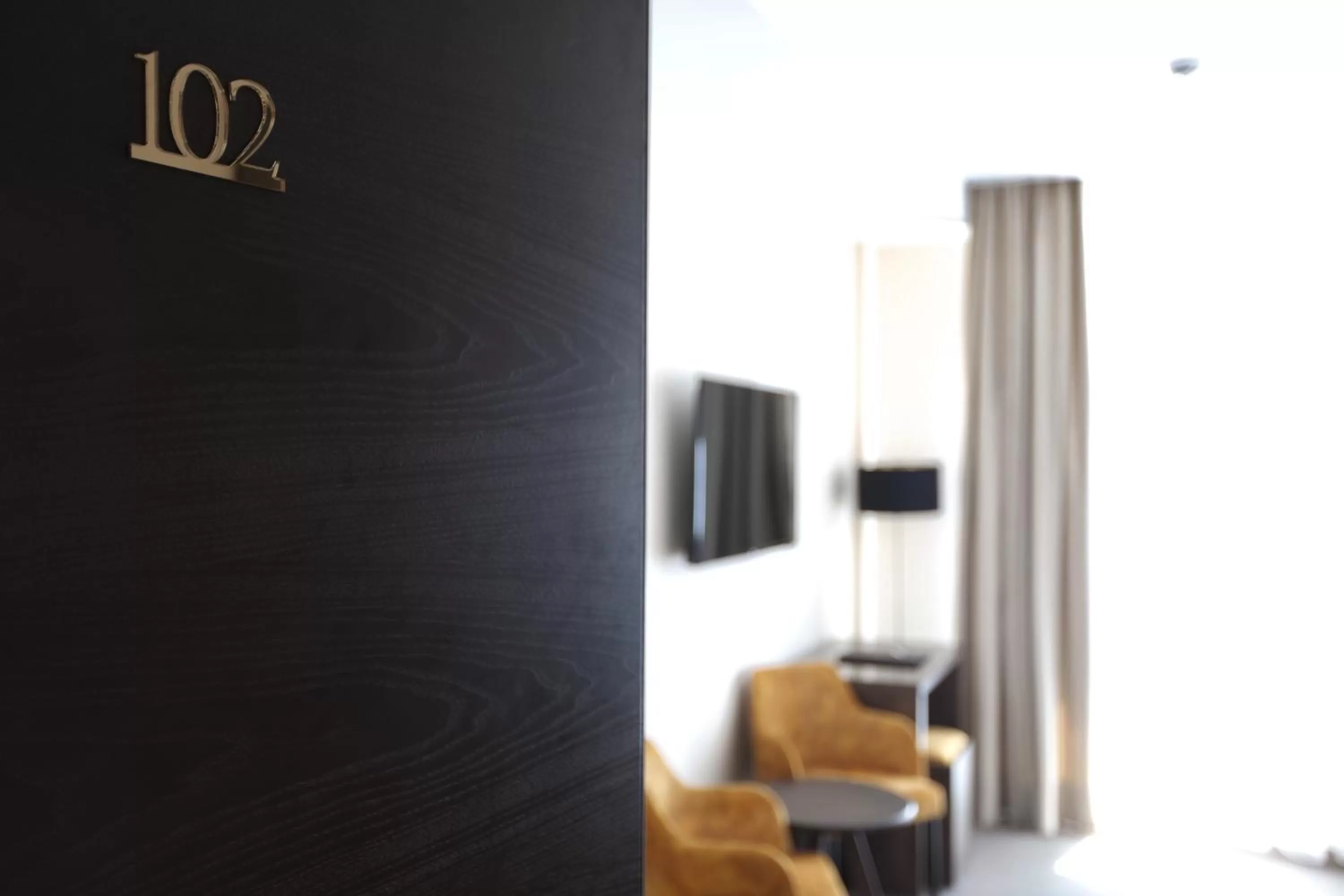 TV and multimedia in Royal Residence