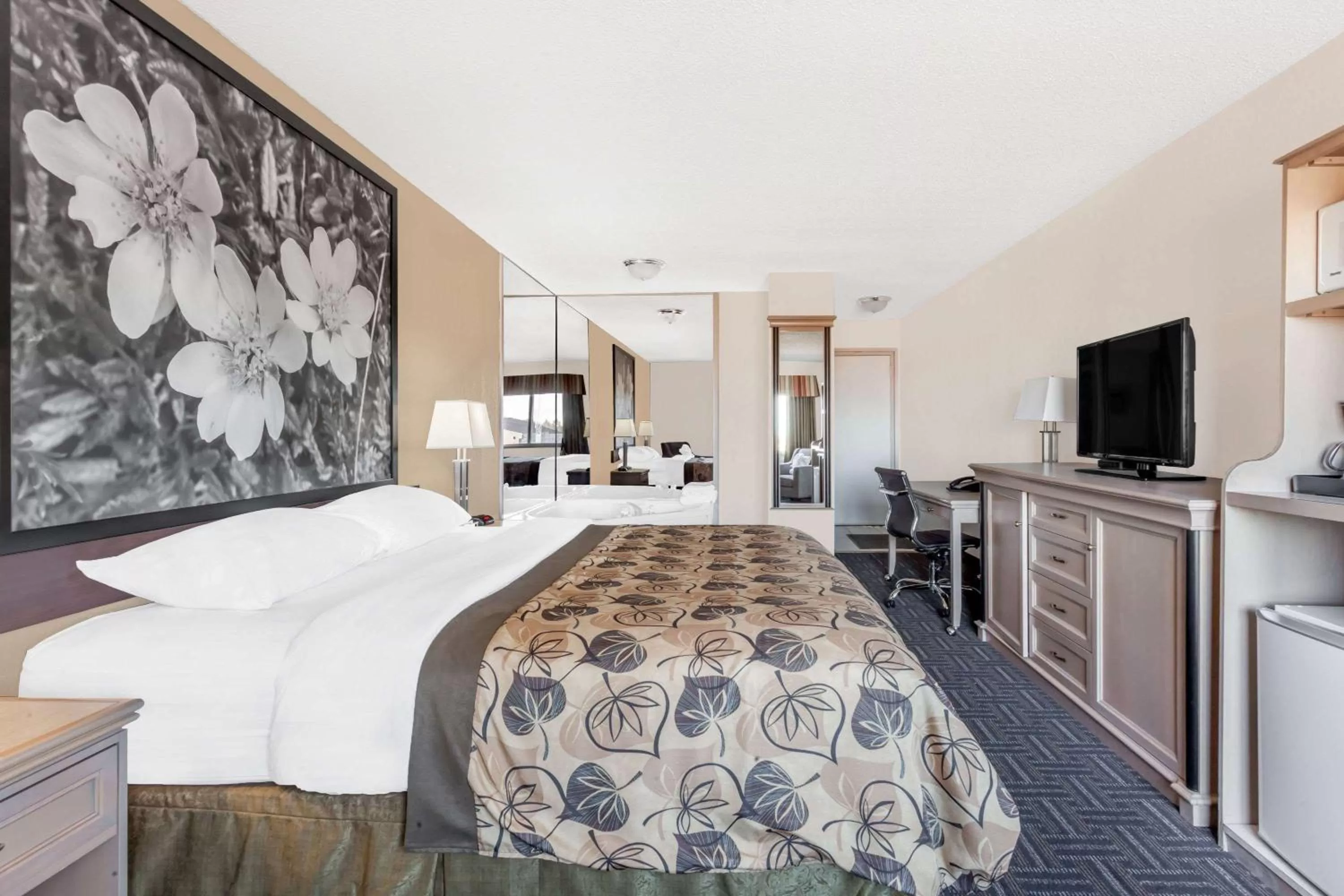 Photo of the whole room, Bed in Super 8 by Wyndham Stettler