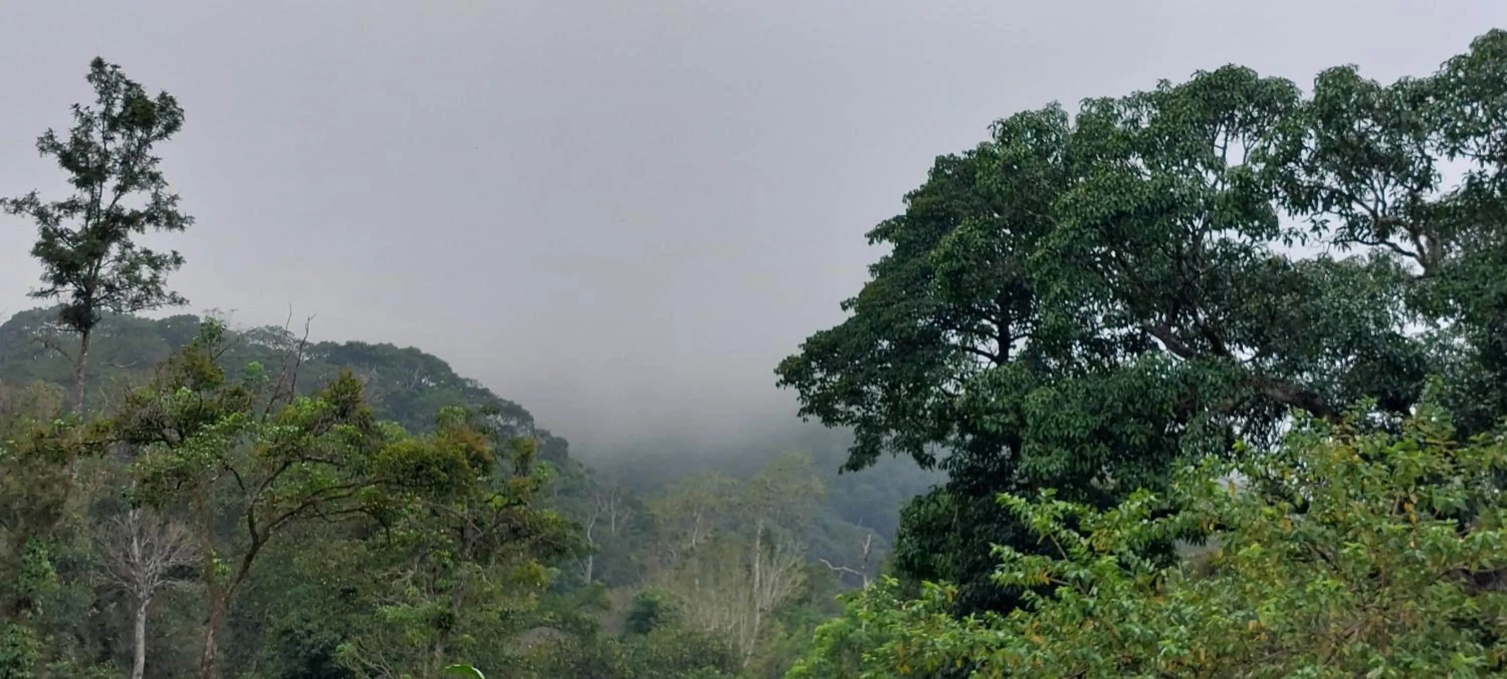 Mountain view in Magnolia Estates & Resorts