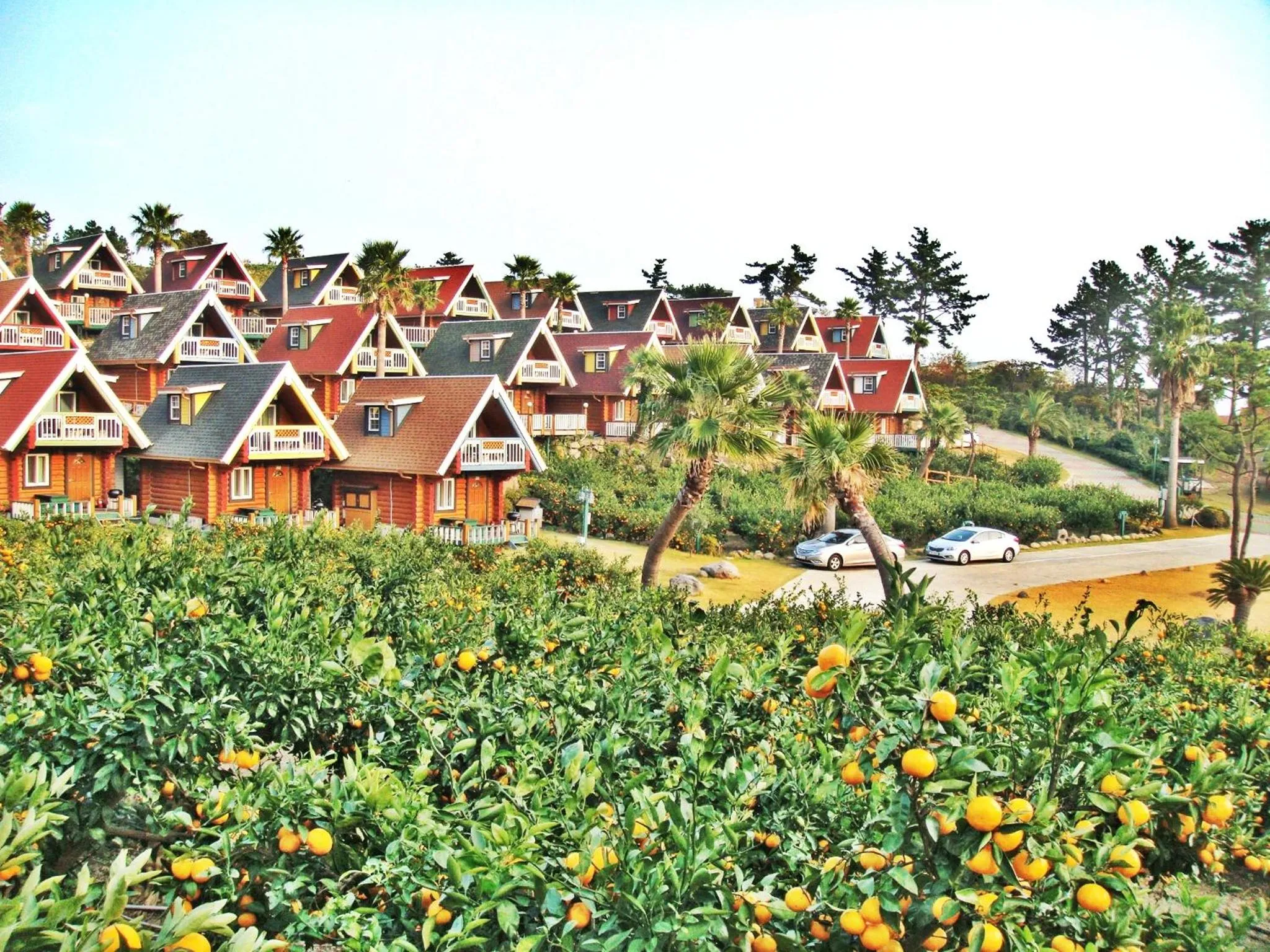 Facade/entrance in Jungmun Log Pension & Resort