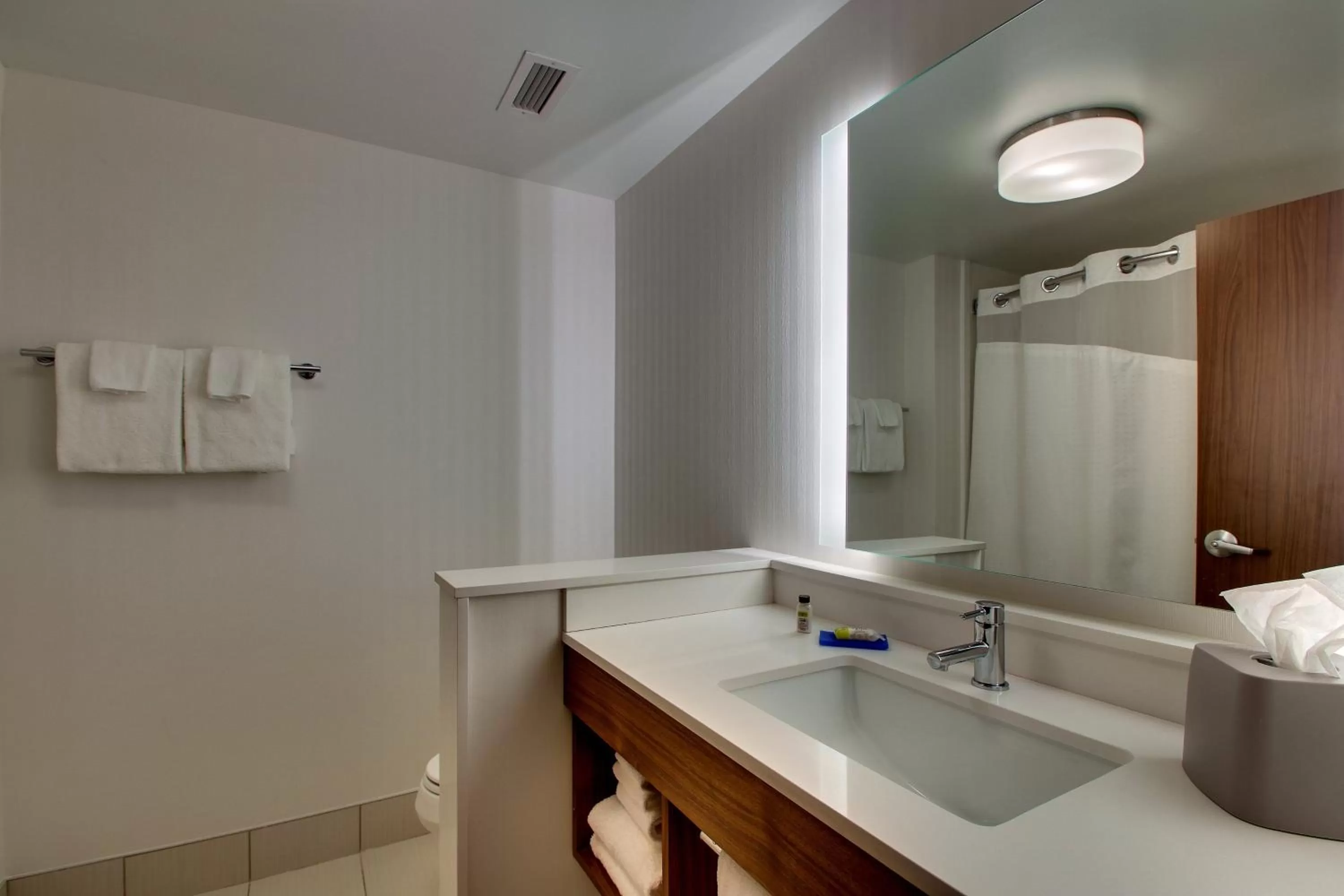 Bathroom in Holiday Inn Express & Suites Findlay North by IHG