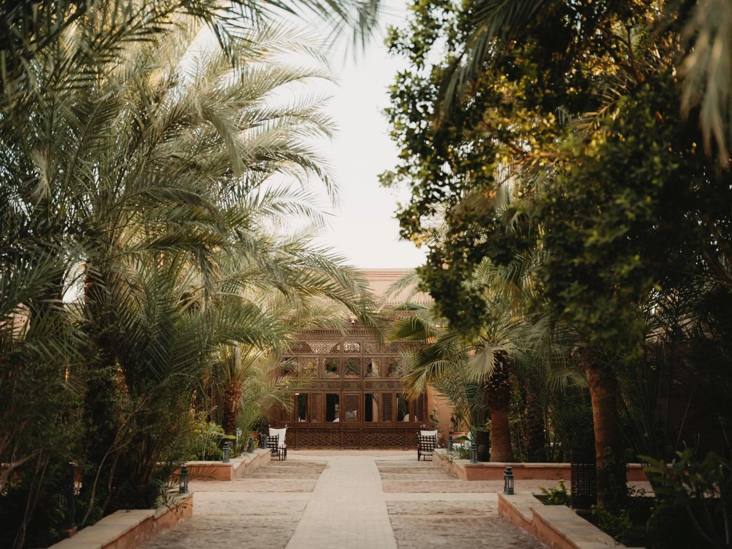 Garden in Al Moudira Hotel