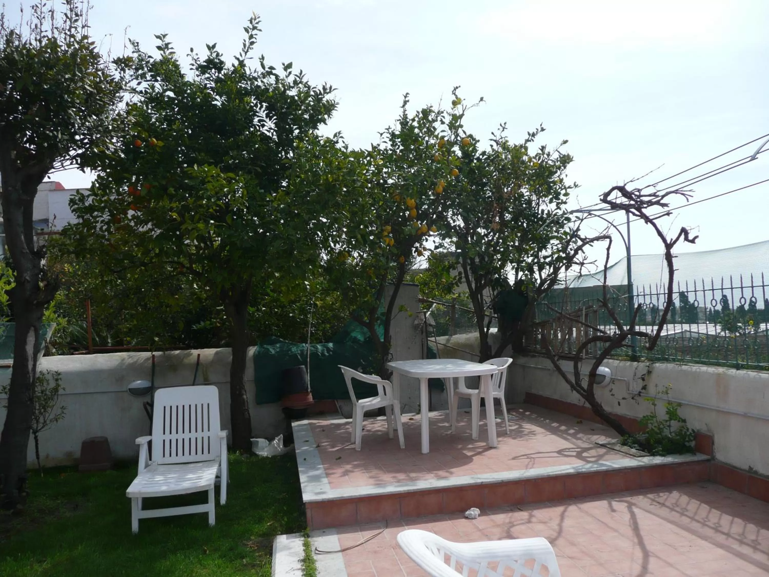 Garden in Garden House