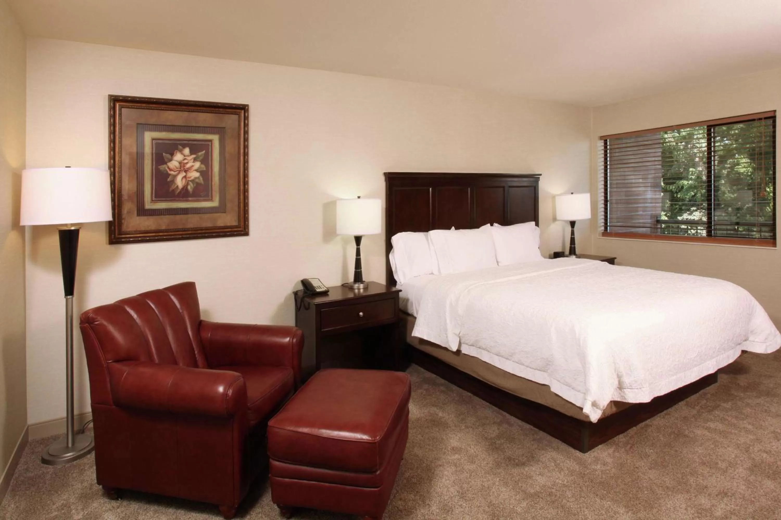 Living room, Bed in Hampton Inn Richland-Tri Cities