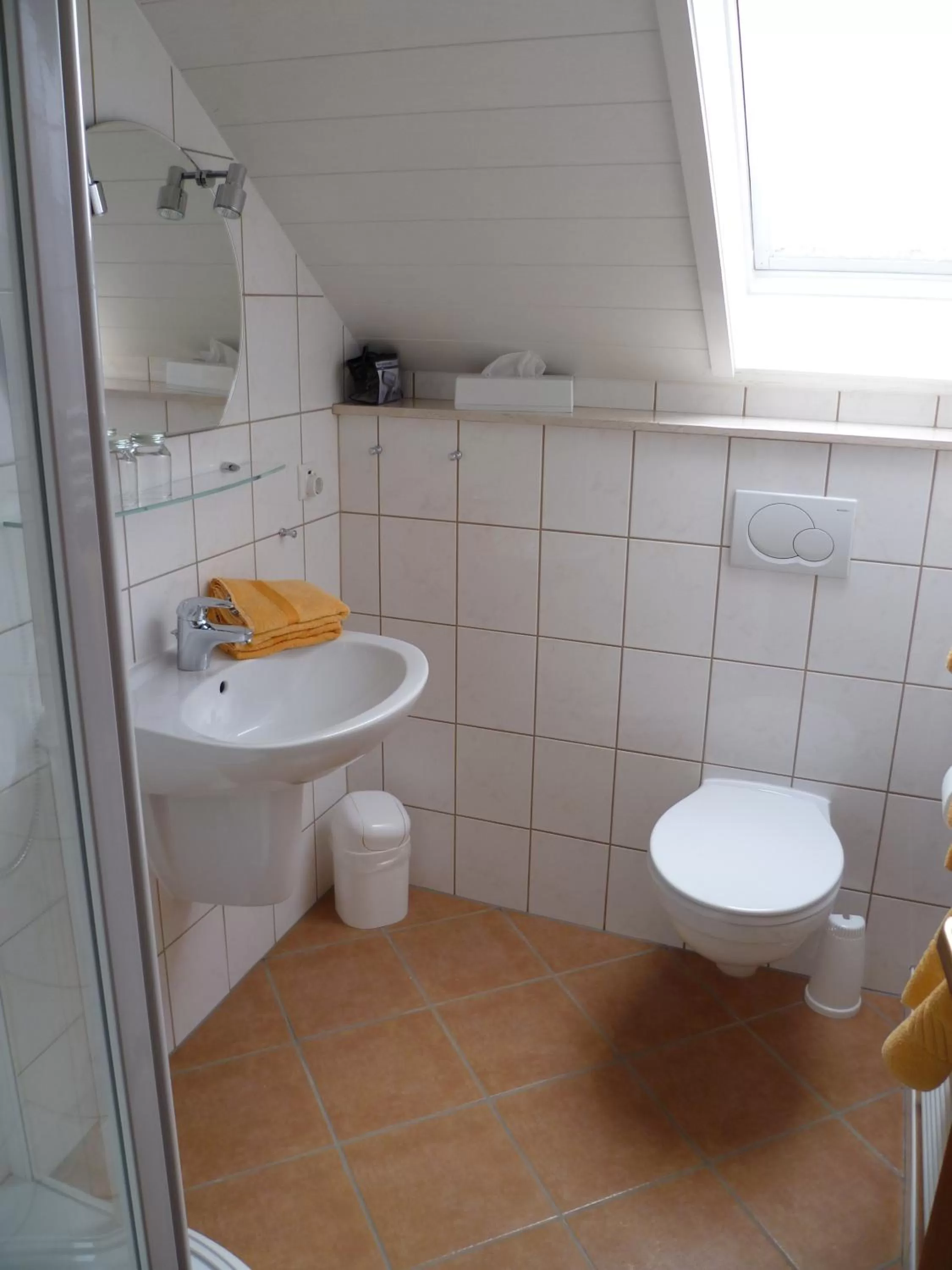 Shower in Landgasthof Zur scharfen Ecke