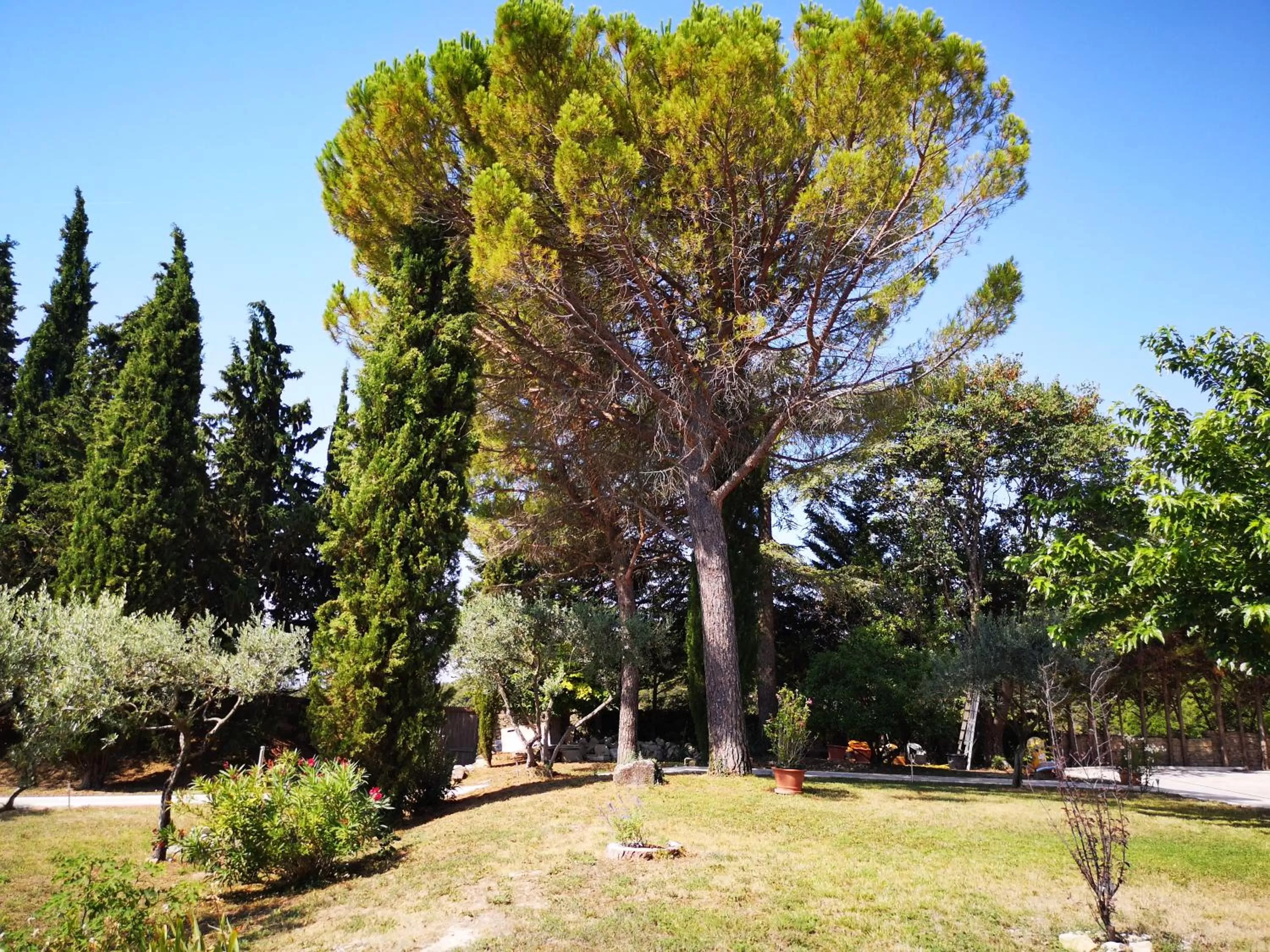 Garden view in La Bastide du Limon