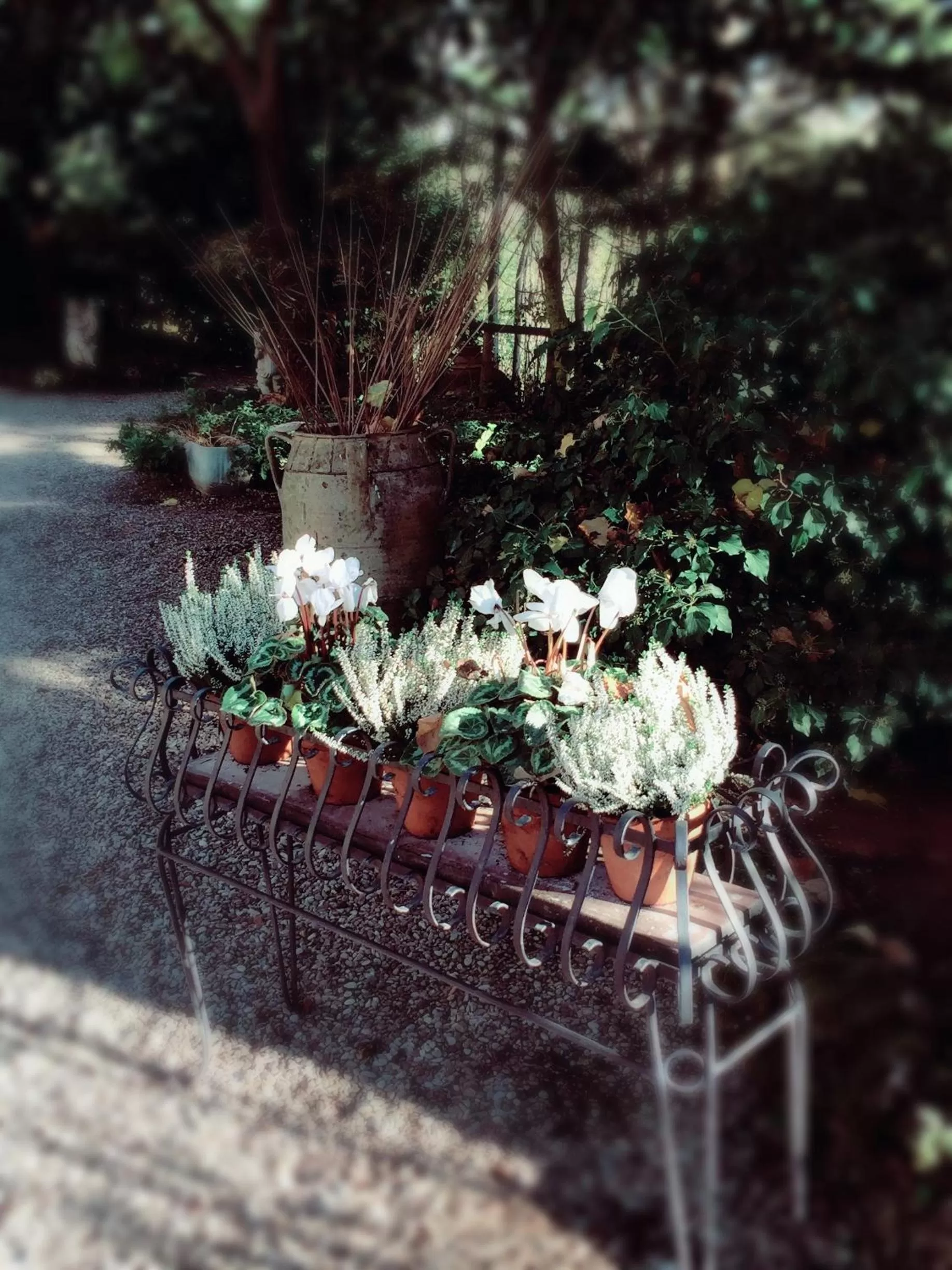 Garden view in Le Querce Hotel