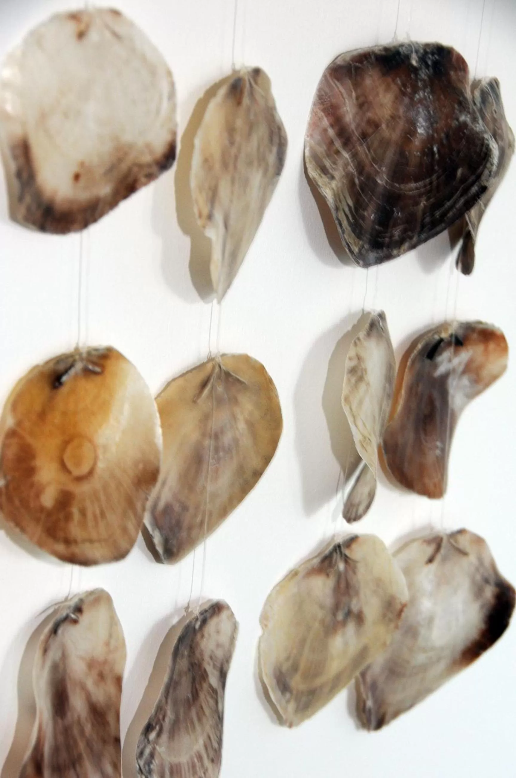 Decorative detail in Hacienda Rooms