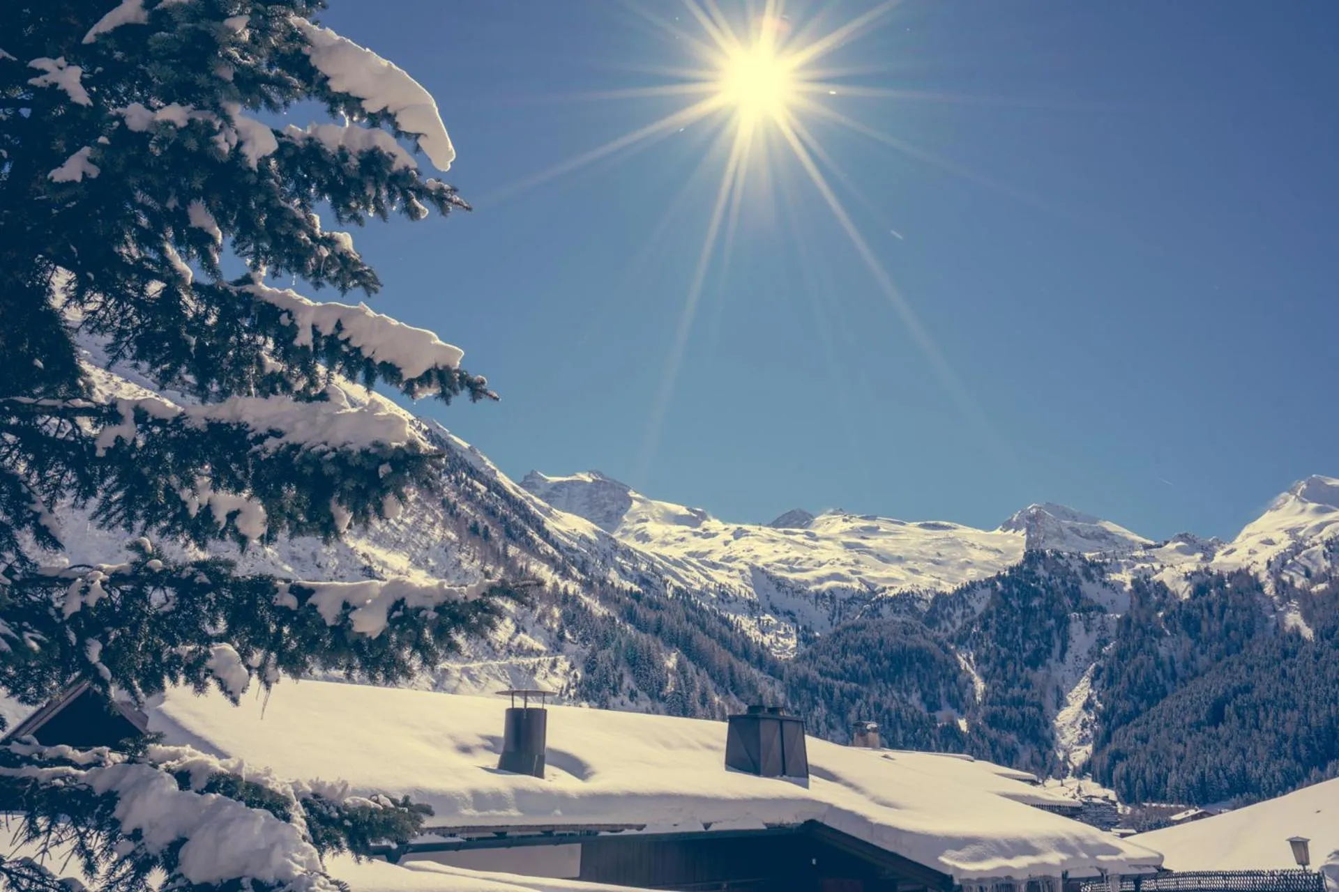 Natural landscape in Alpenbad Hotel Hohenhaus