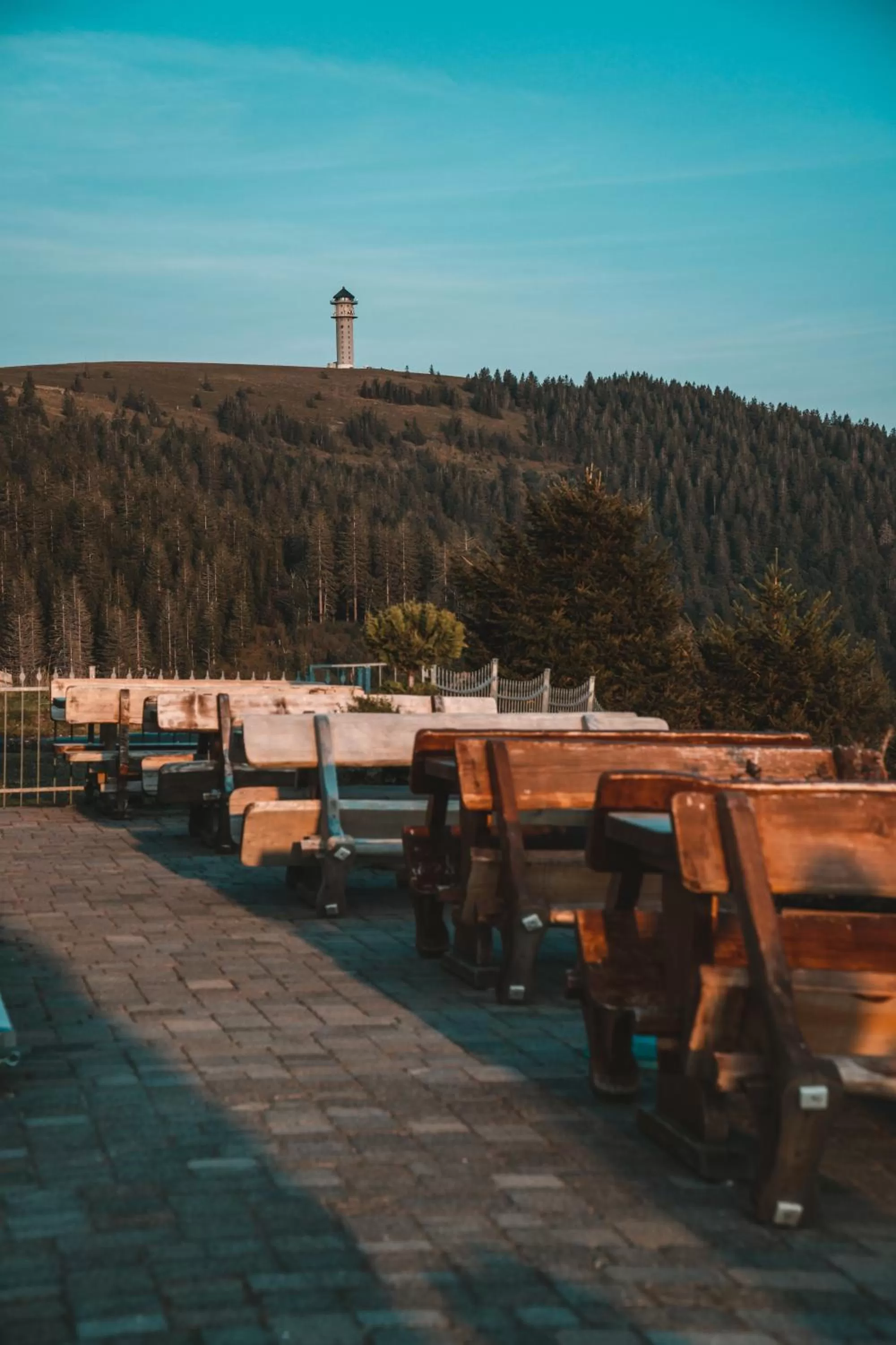 Patio in Berggasthof zur Todtnauer Hütte