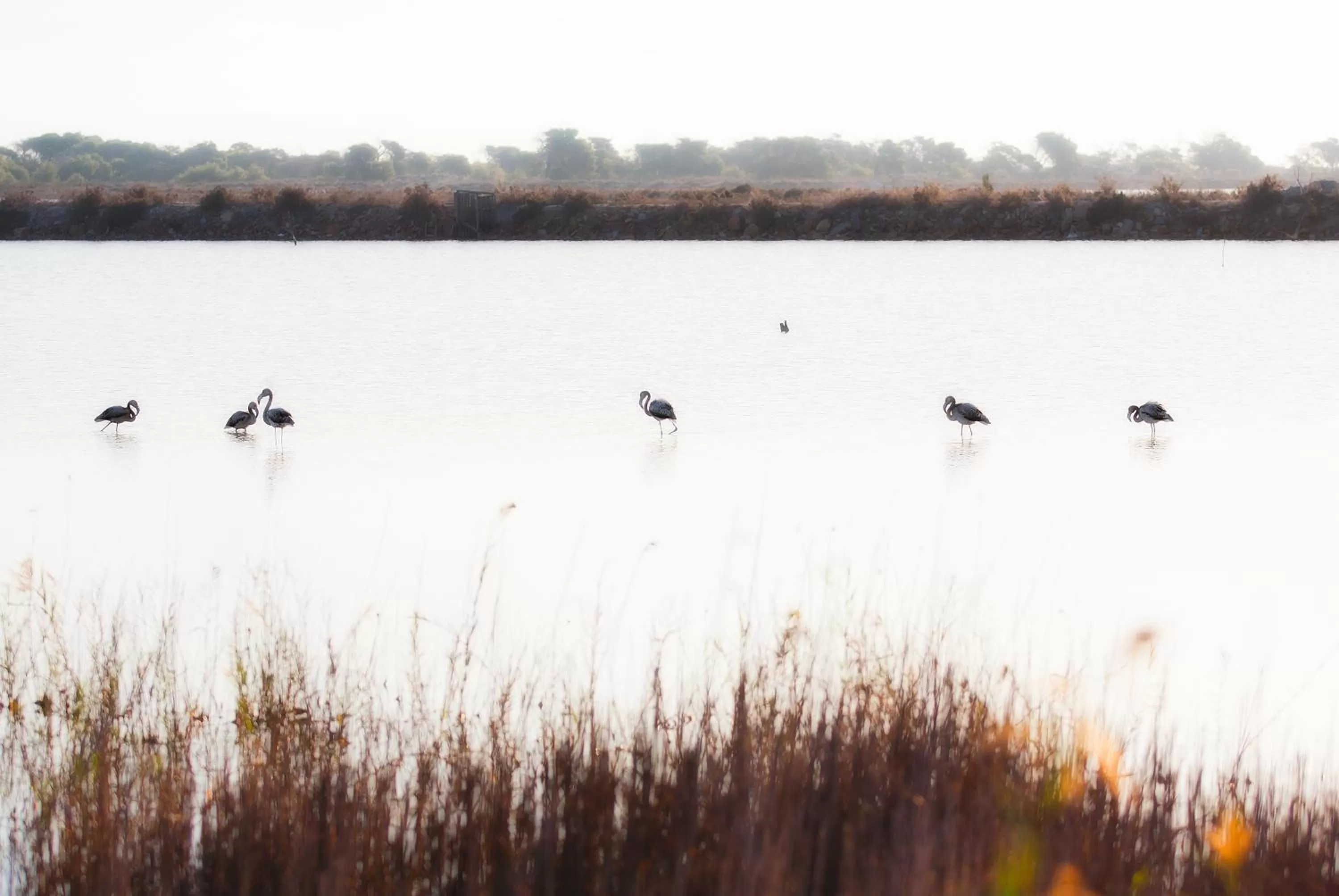 Other in Thalasia Costa de Murcia