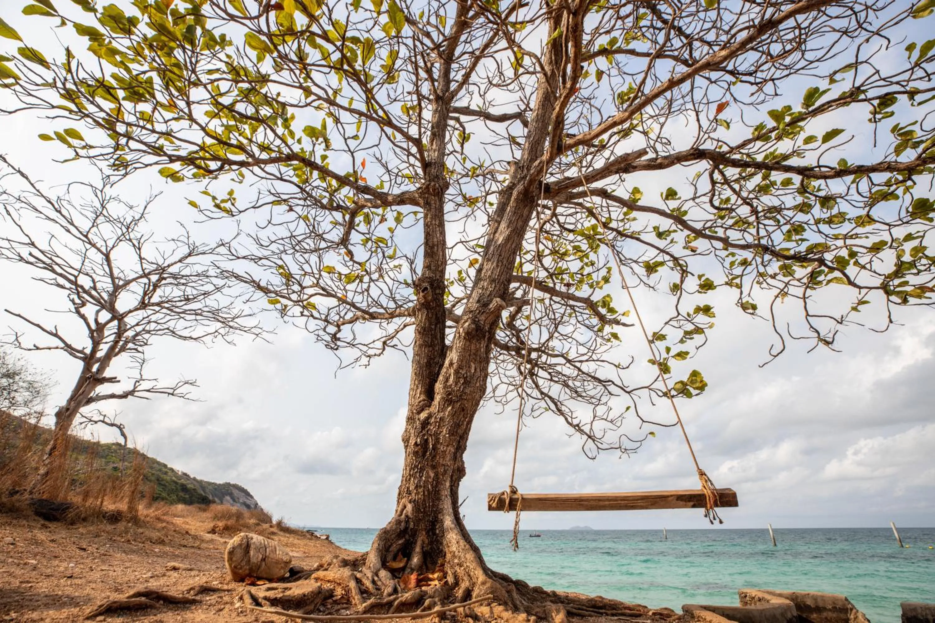 Natural landscape in Xanadu Beach Resort