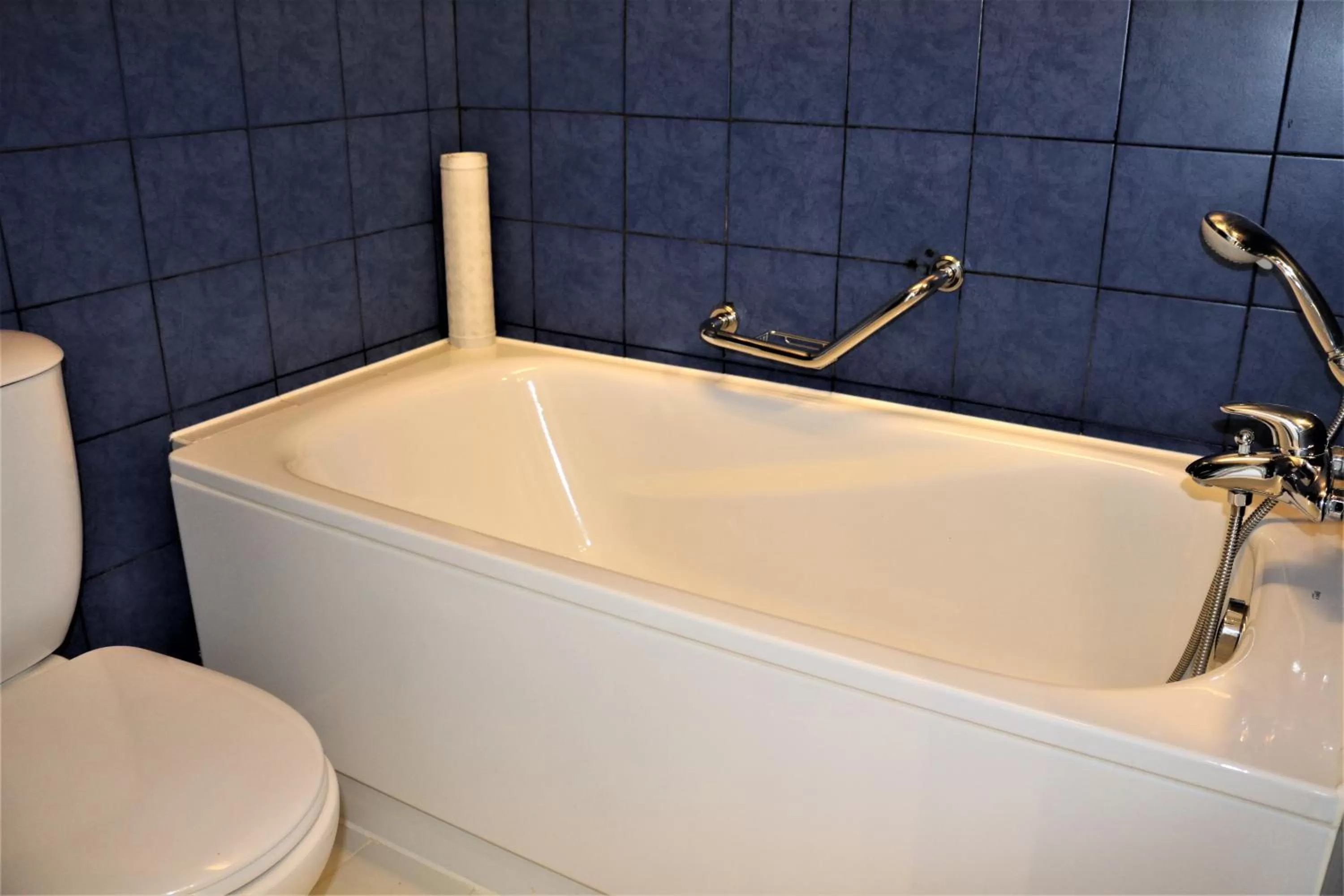 Toilet in Mövenpick Hotel Mactan Island Cebu