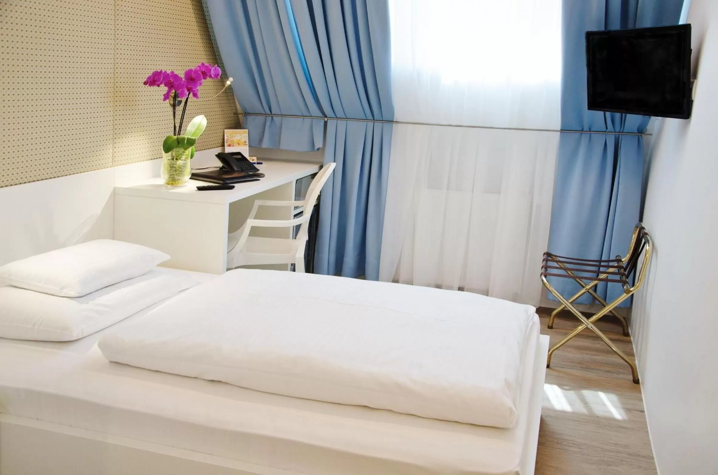 Basic Single Room in Hotel Gollner