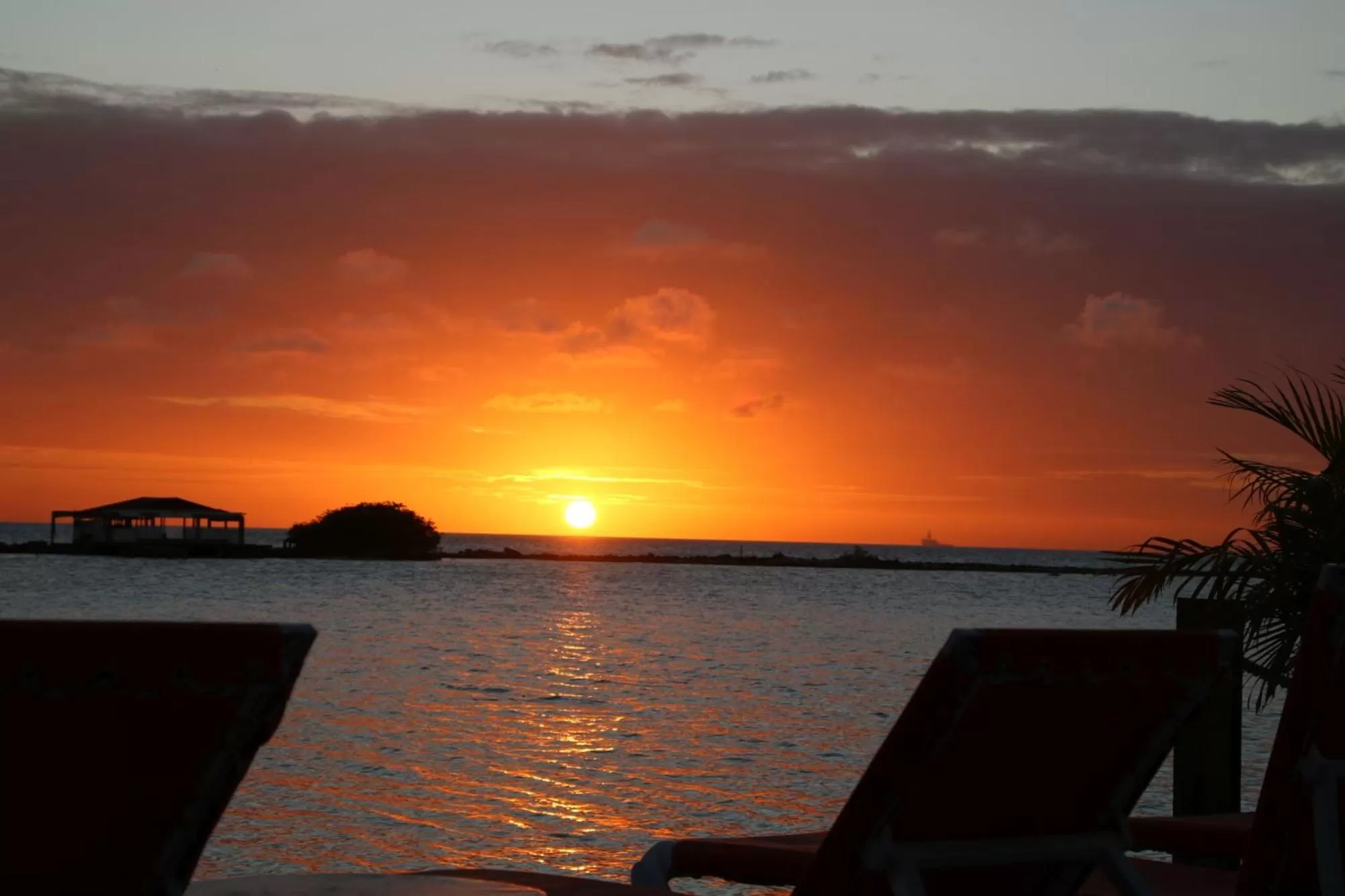 Other in Coral Reef Beach