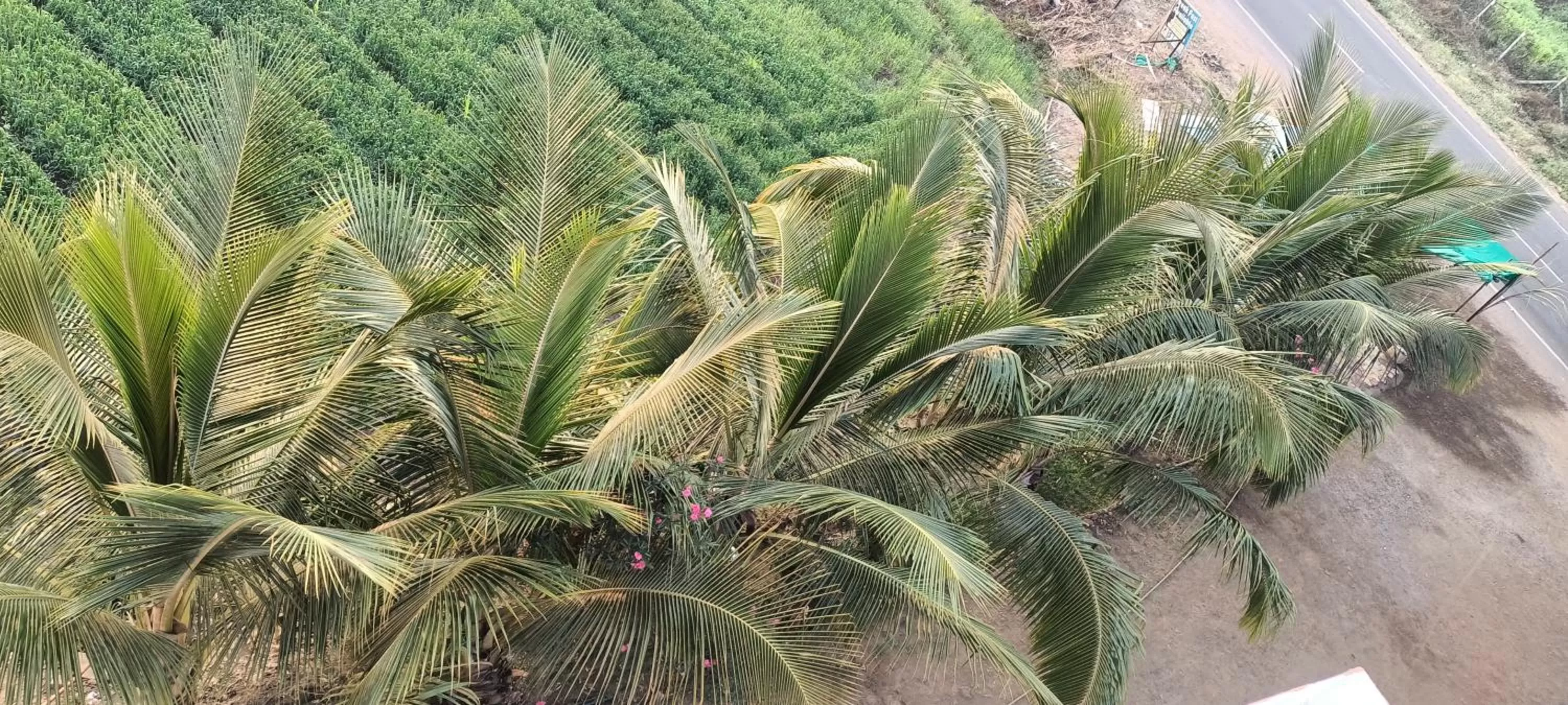 Hotel Nisarg Lodging And Restaurant