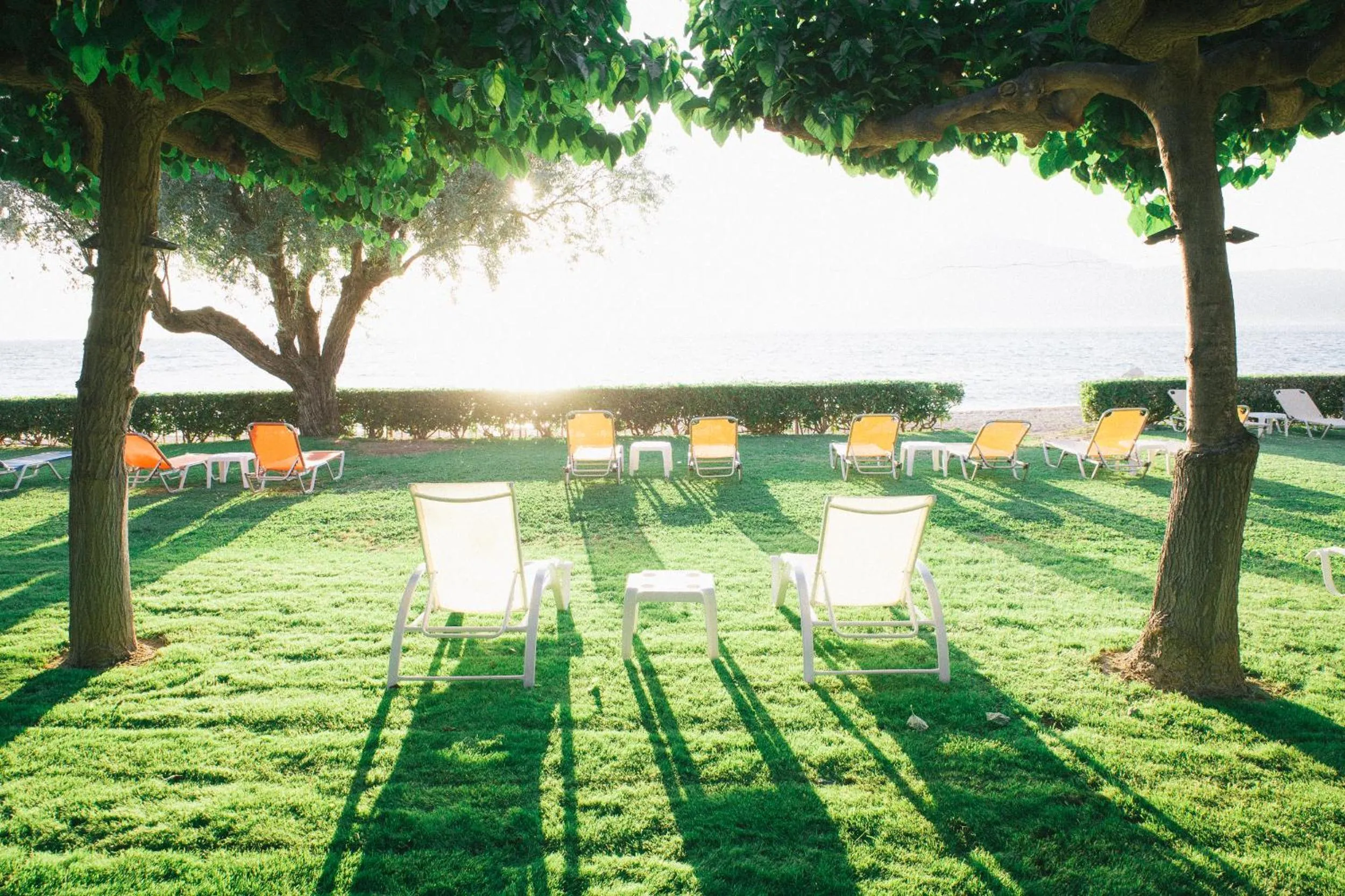 Garden in Tzaki hotel & restaurant Patras