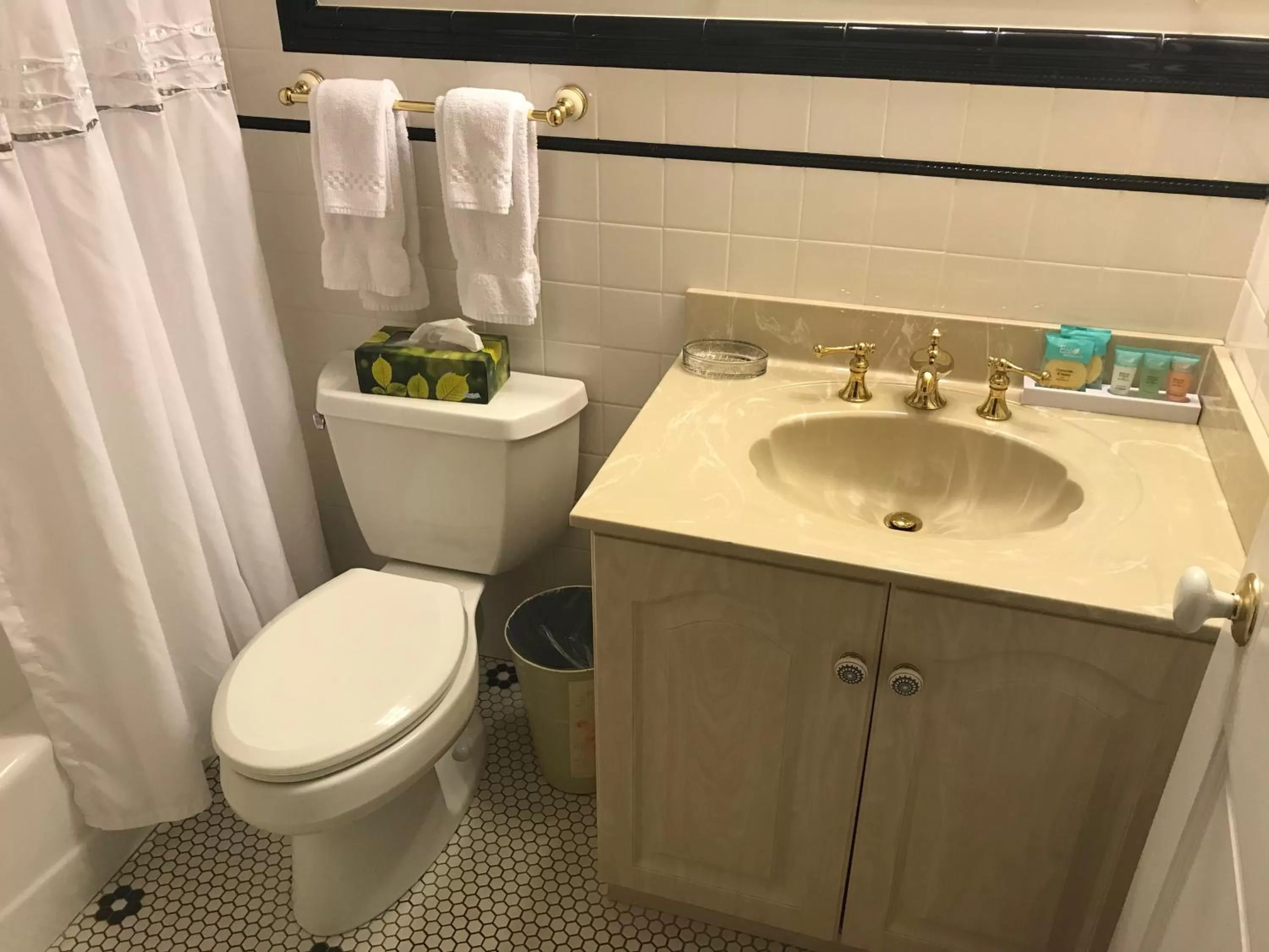 Toilet in Elaine's Cape May Boutique Hotel