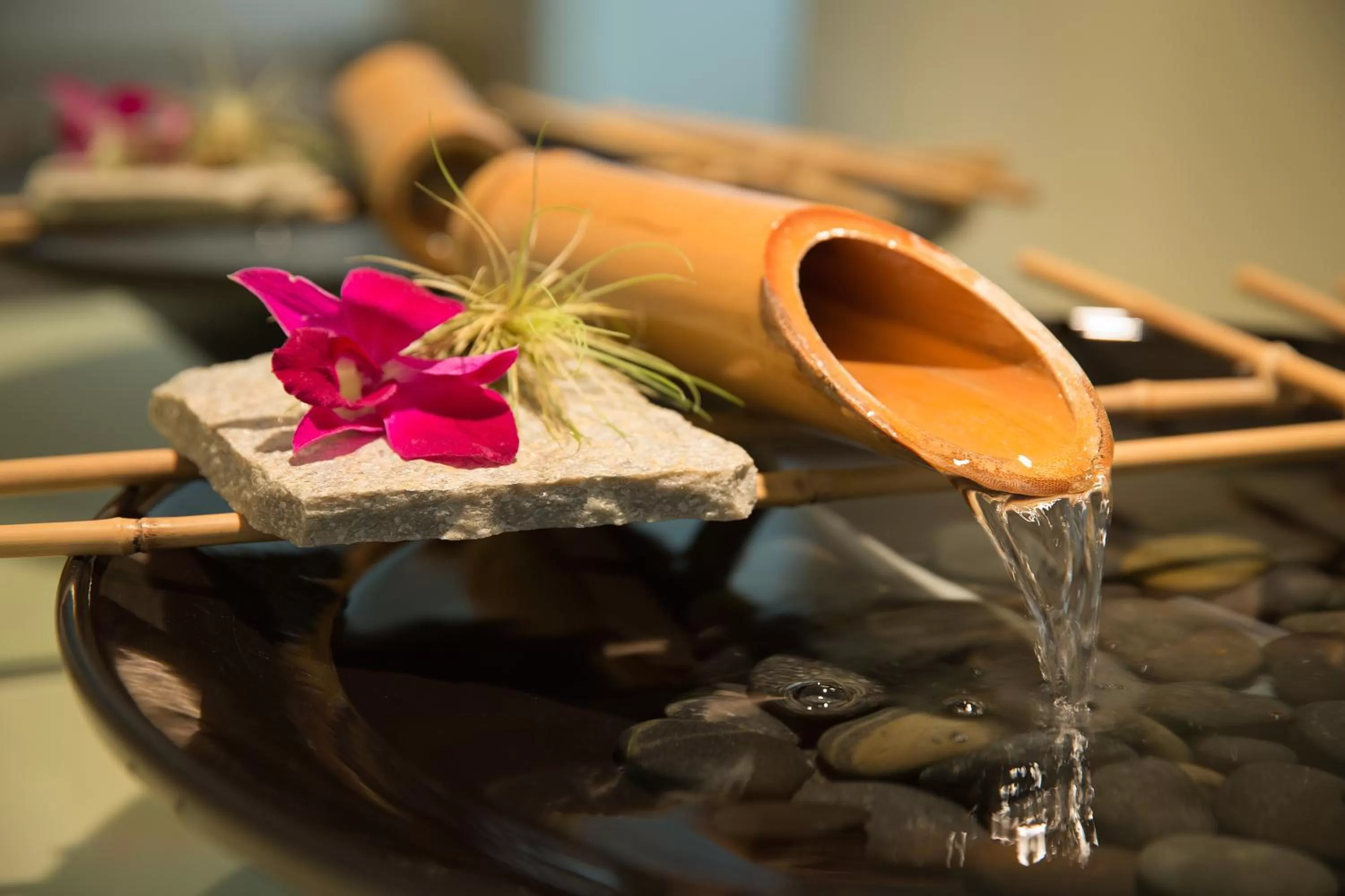 Decorative detail in Tradewinds Carmel