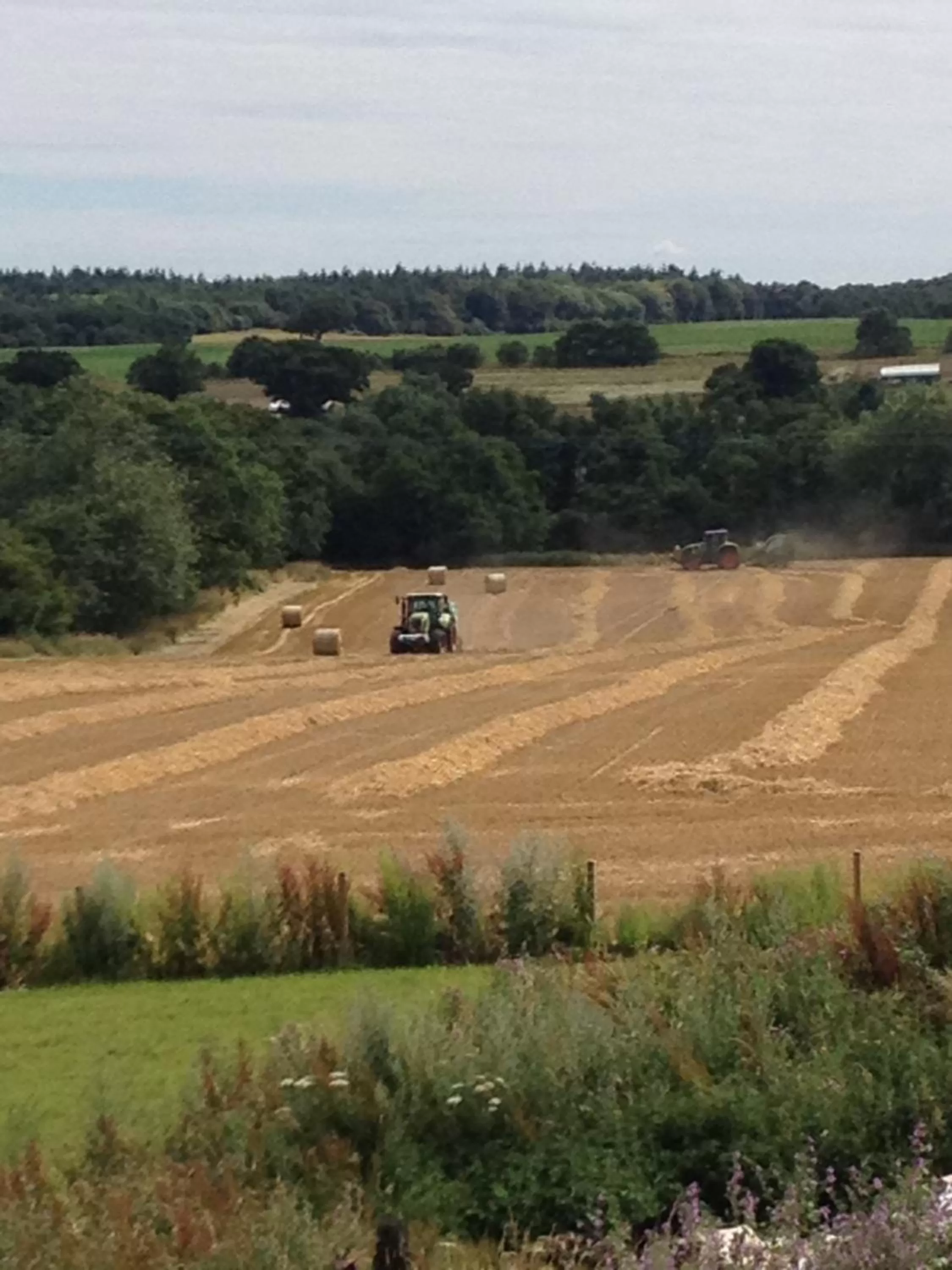 Keepers Cottage Guest House