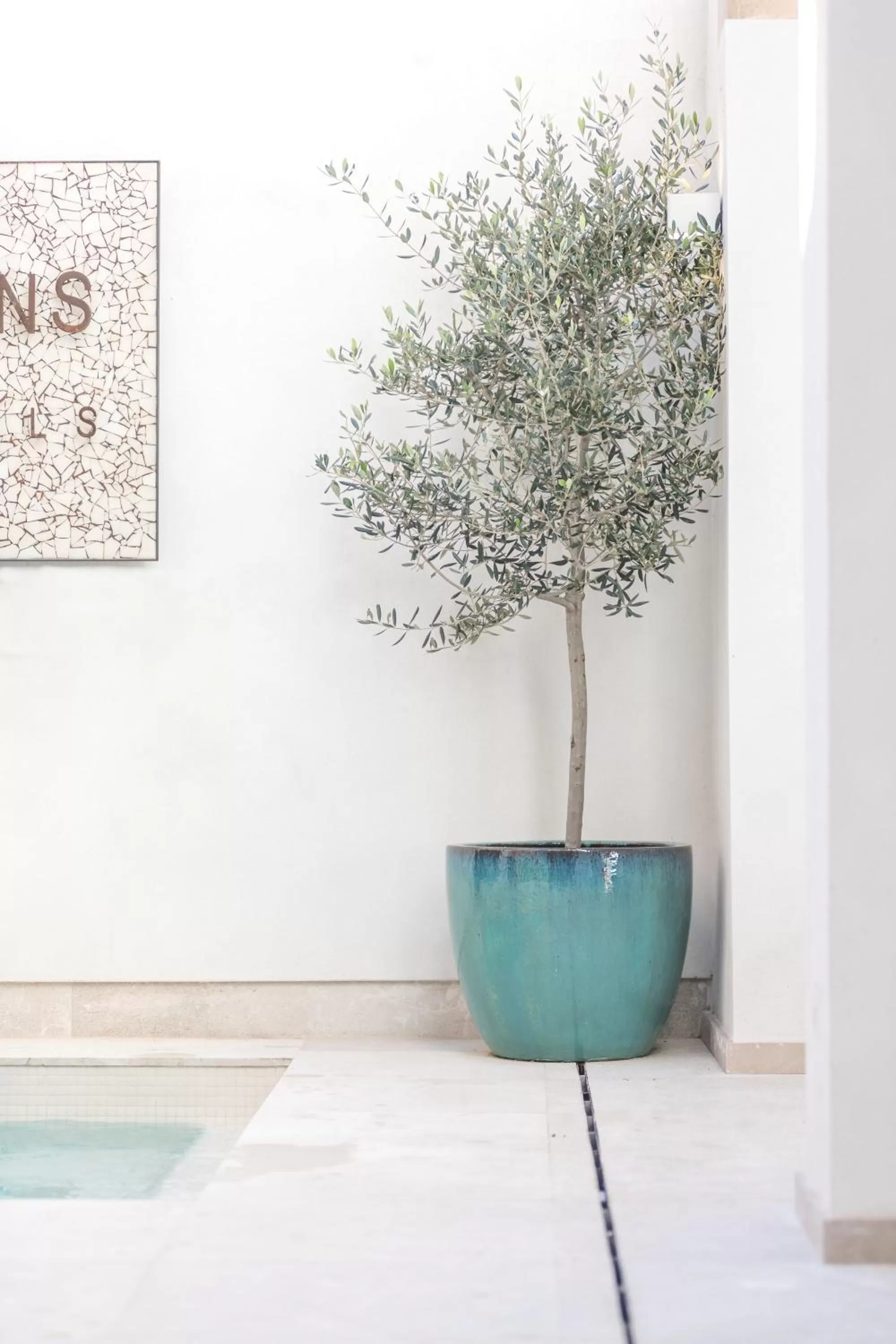 Pool view in Bordoy Mostatxins - Hotel Boutique Adults Only