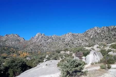 Activities in Hotel Sara De Ur