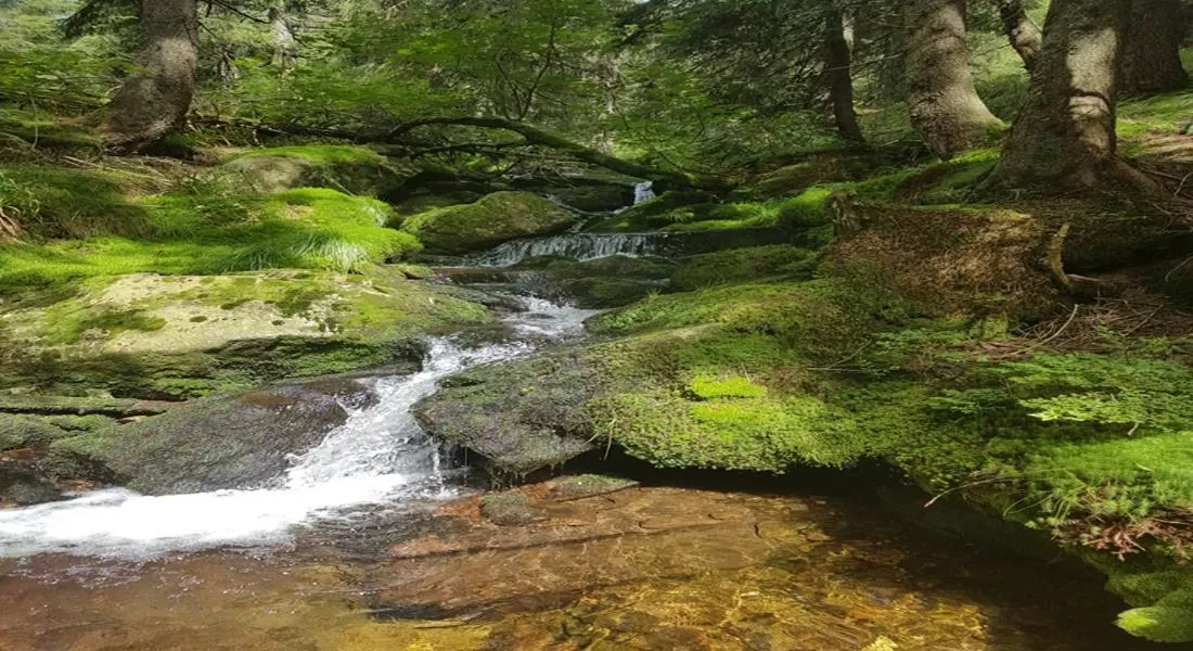 Natural Landscape in Hotel Sonnleitn