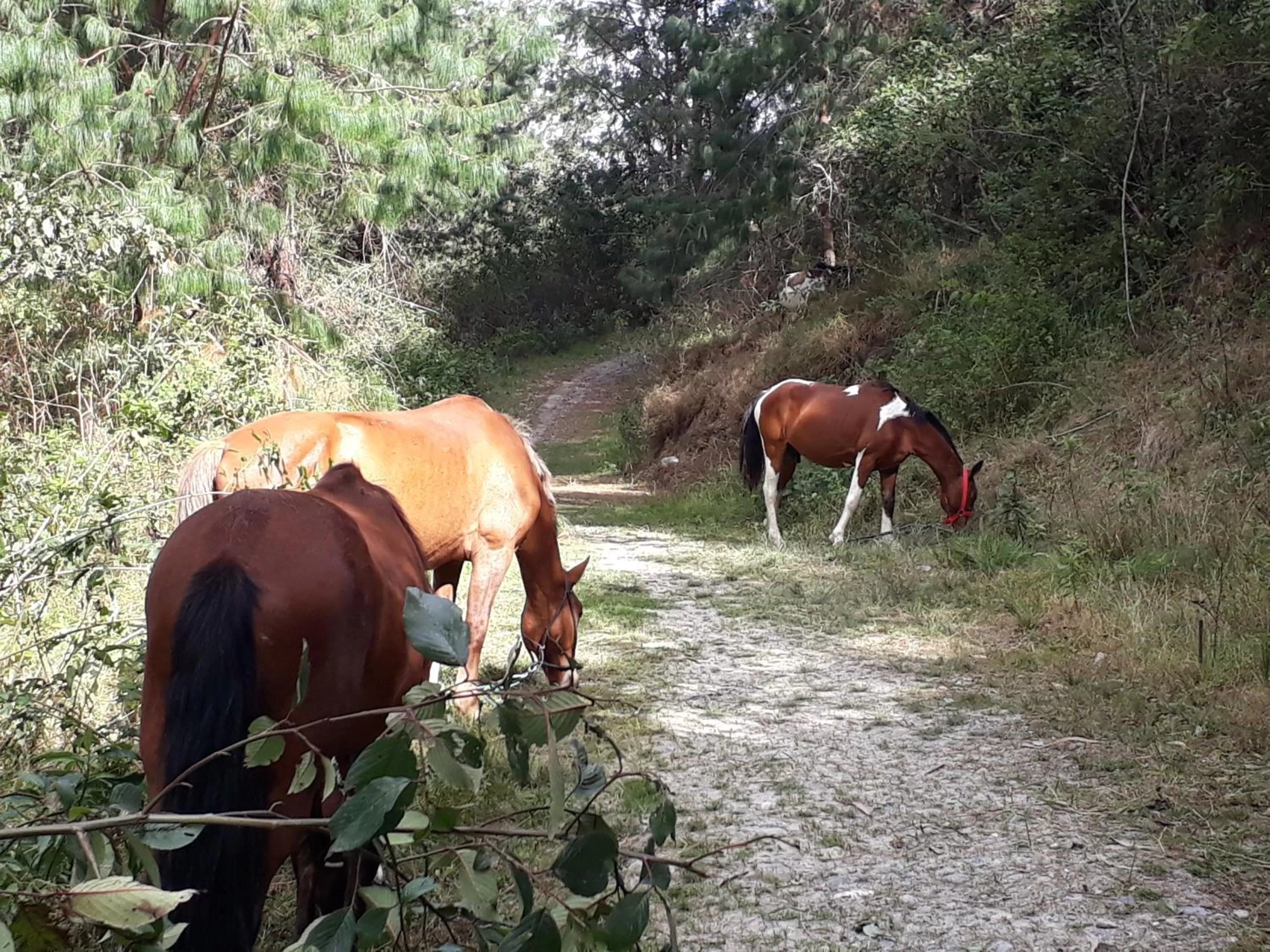 Nearby landmark in El Cardenal Hotel