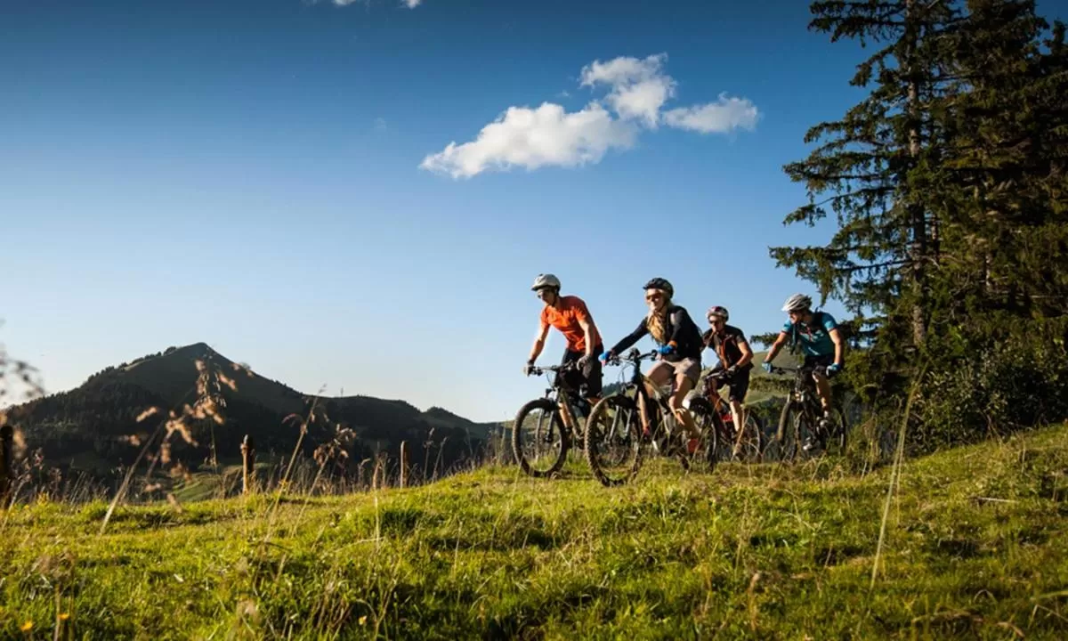 Cycling in Boutique-Hôtel Chez Jan