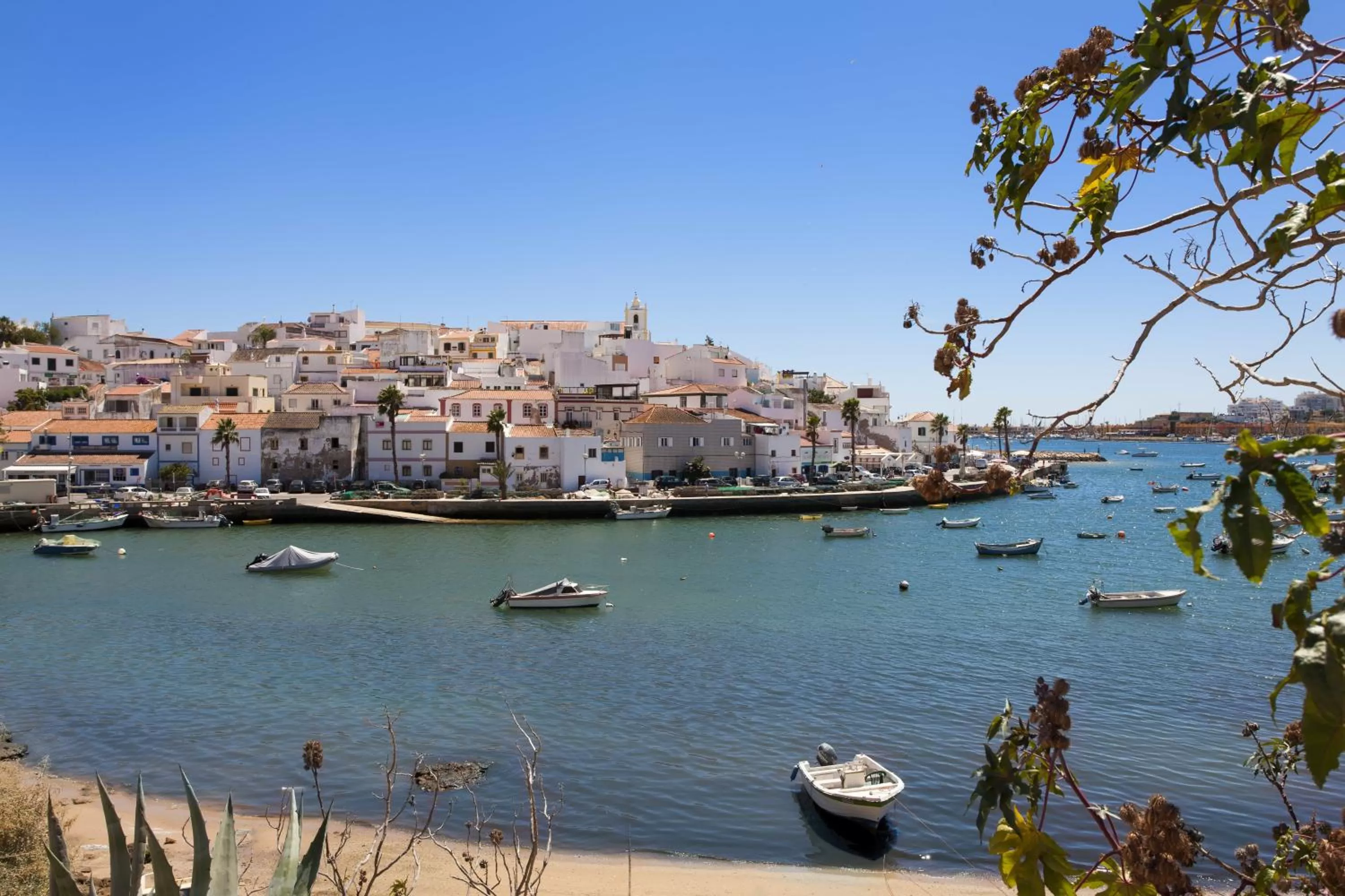 Neighbourhood in Vila Castelo Parque