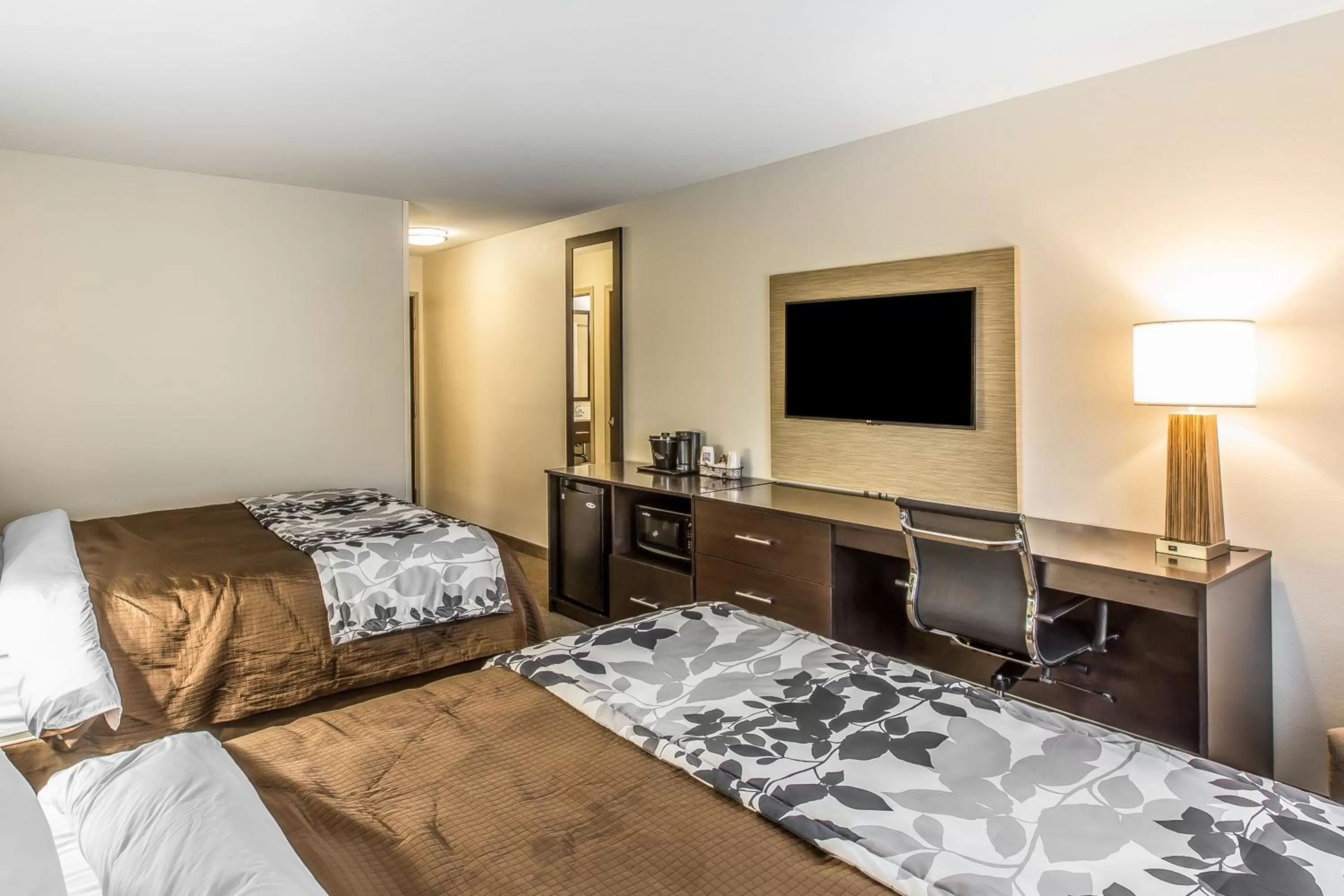 TV and multimedia, Bed in Sleep Inn & Suites Jasper I-22