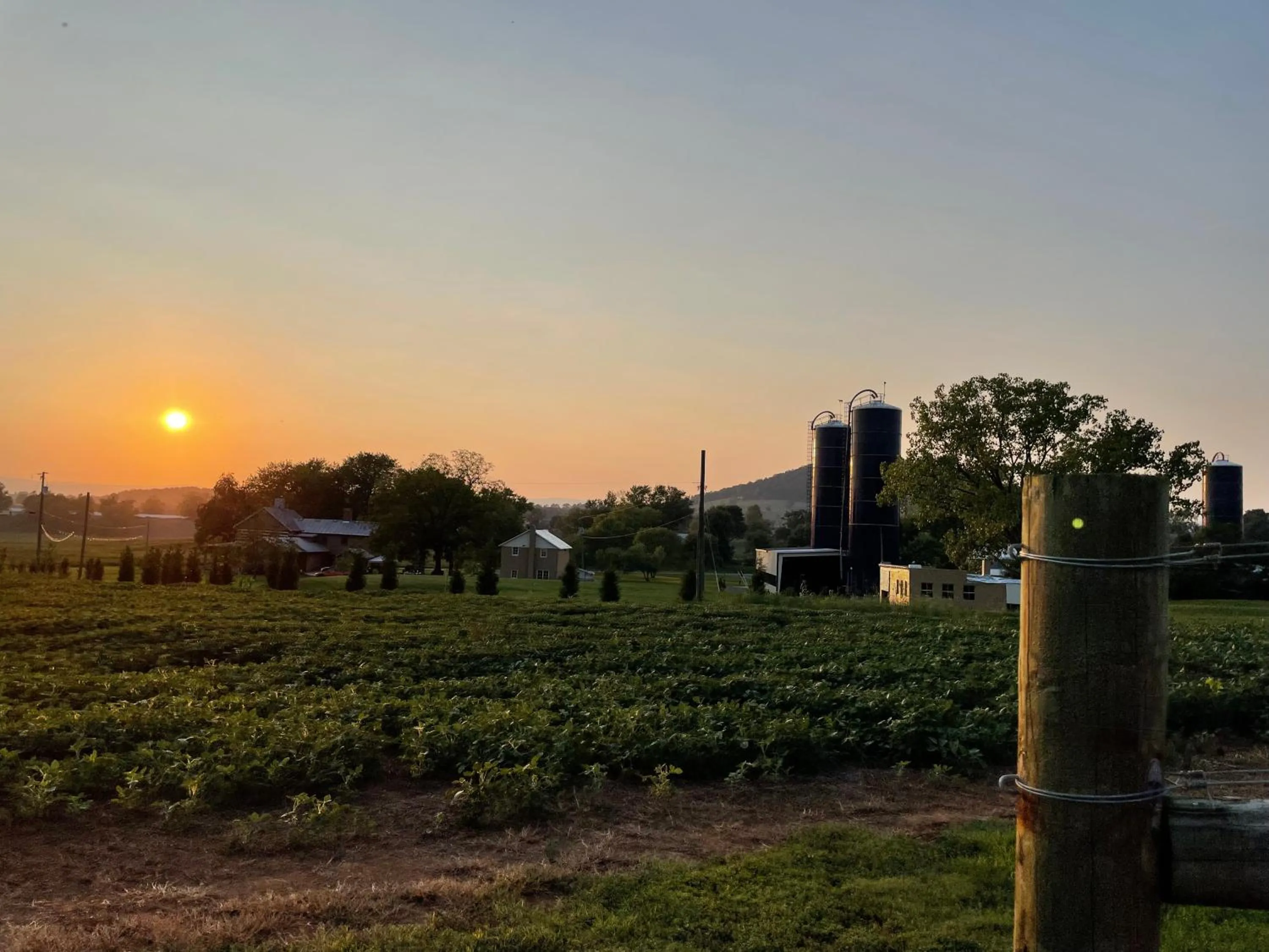 Natural landscape, Sunrise/Sunset in Silver Lake Bed and Breakfast