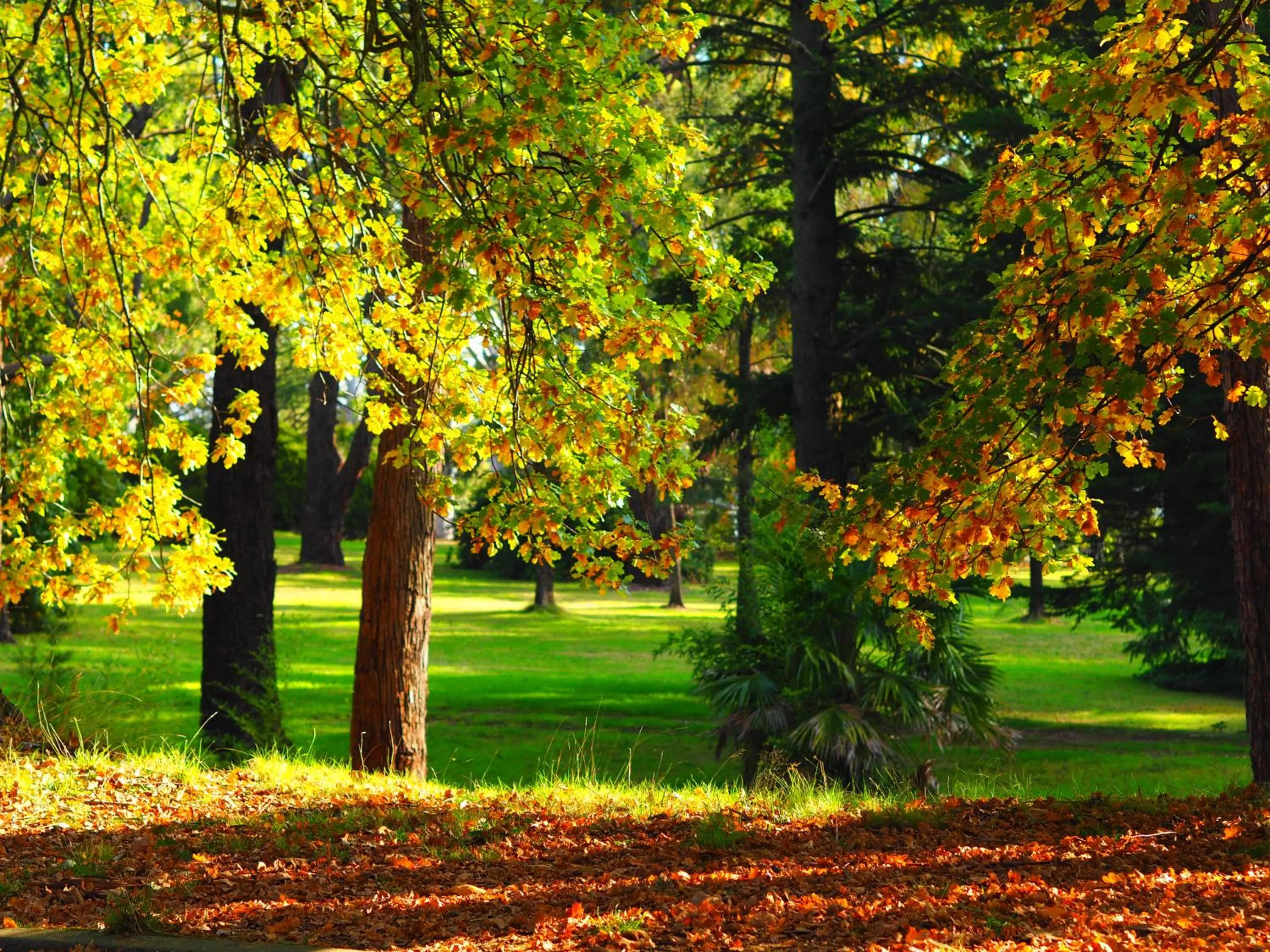 Garden in Linaker Art Deco Motel