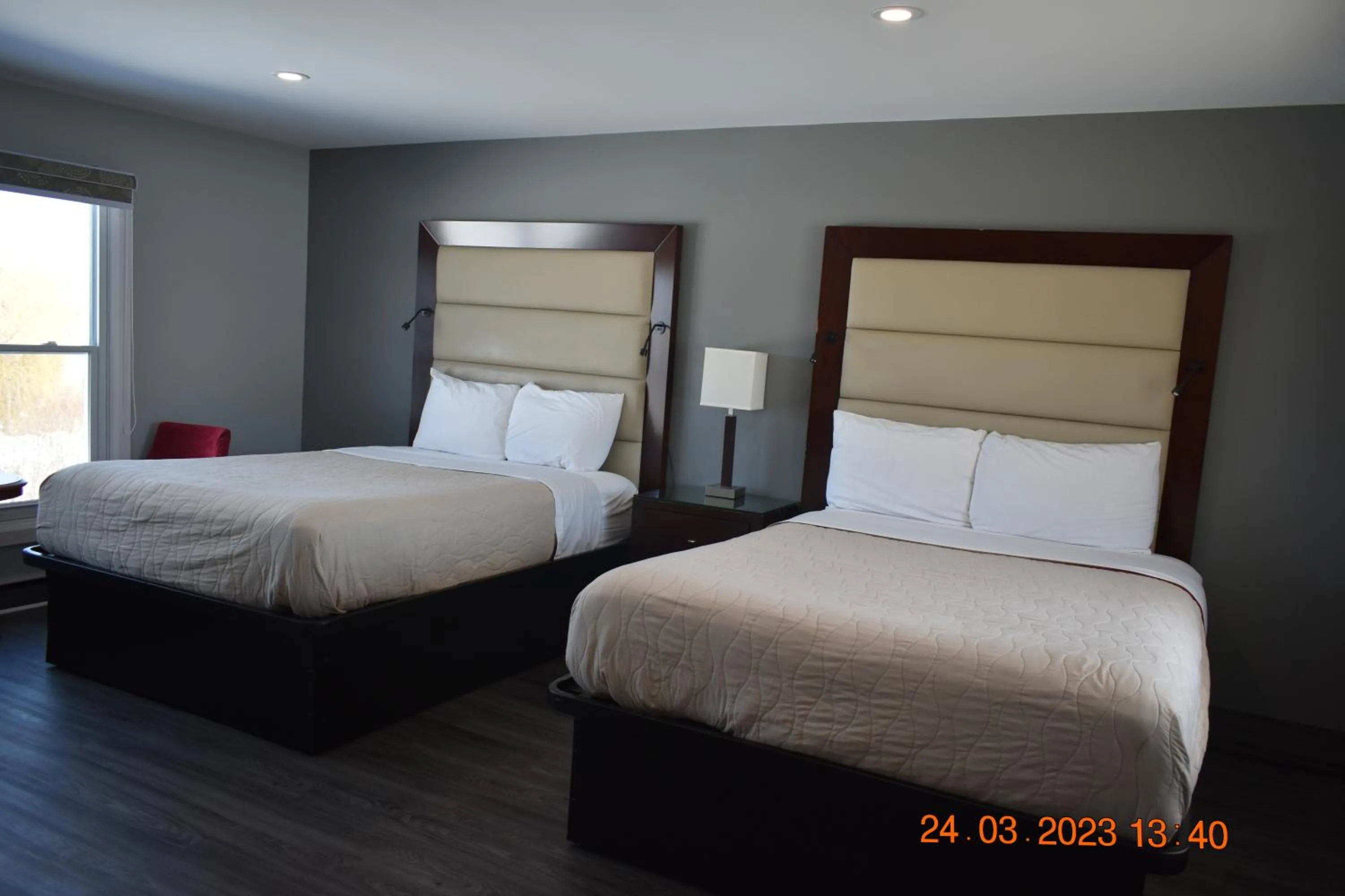 Bed in Time Travellers Motel