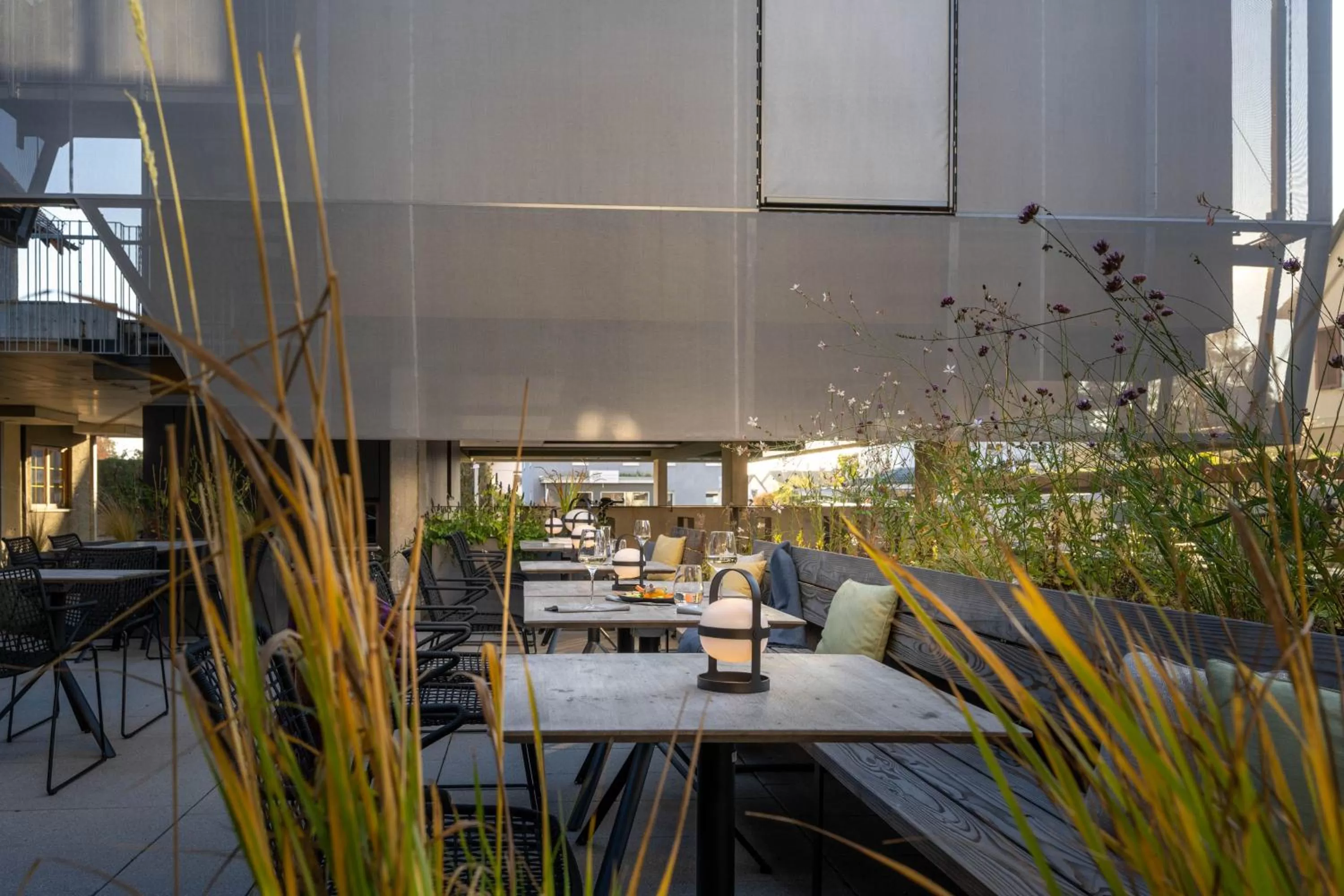 Restaurant/places to eat in Hotel Maier