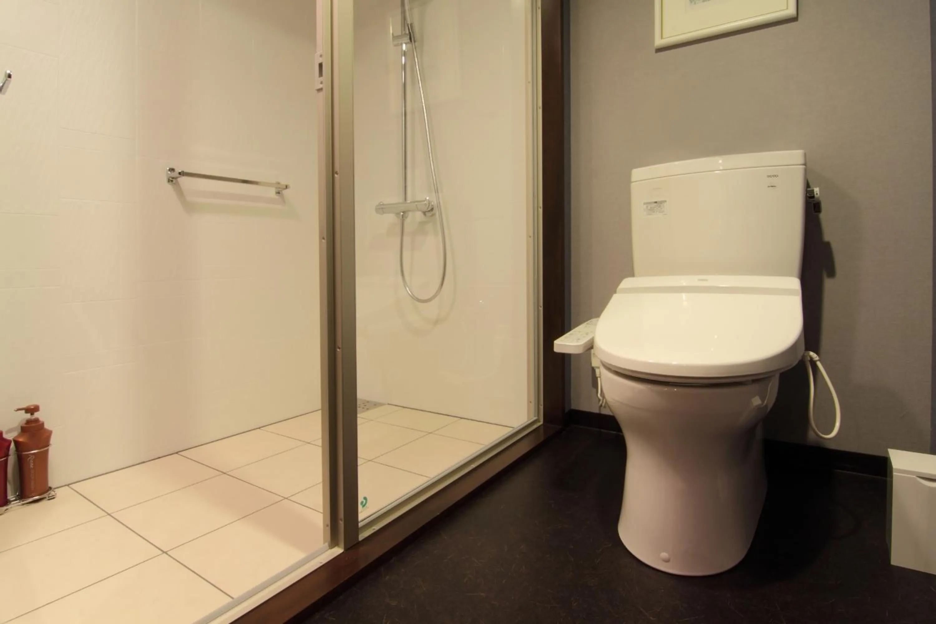 Toilet in Hotel Epinard Nasu