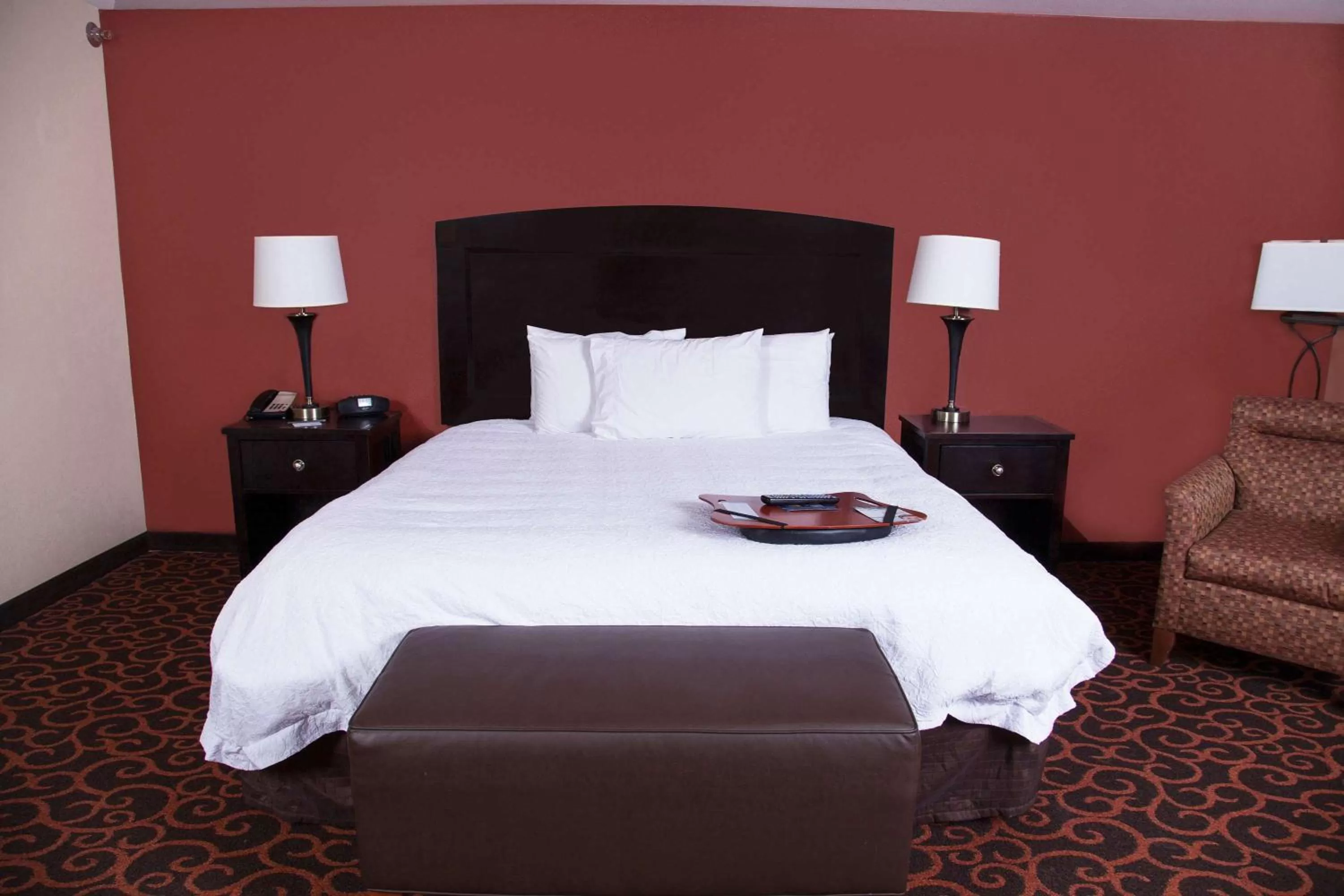 King Studio - Hearing Accessible  in Hampton Inn & Suites Dickinson ND