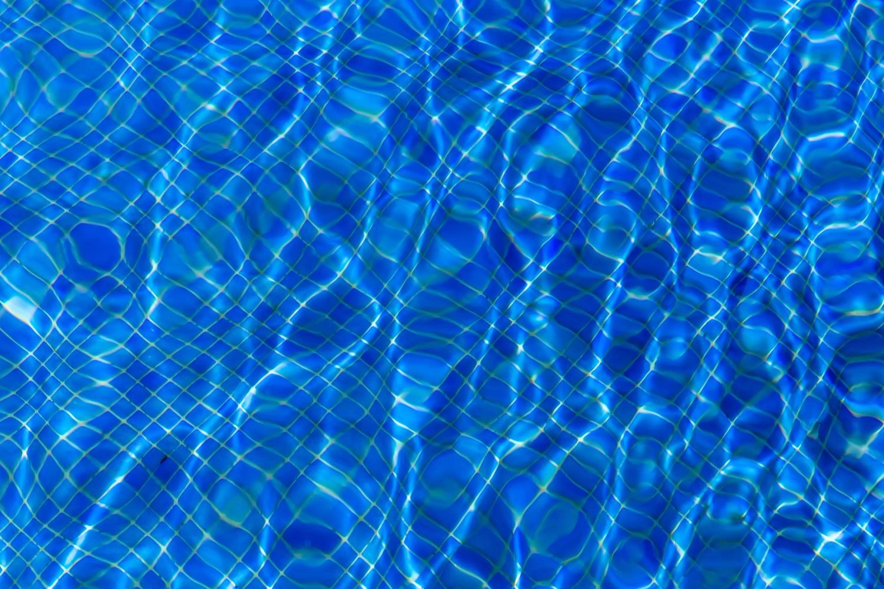 Garden in Aparthotel Bardon