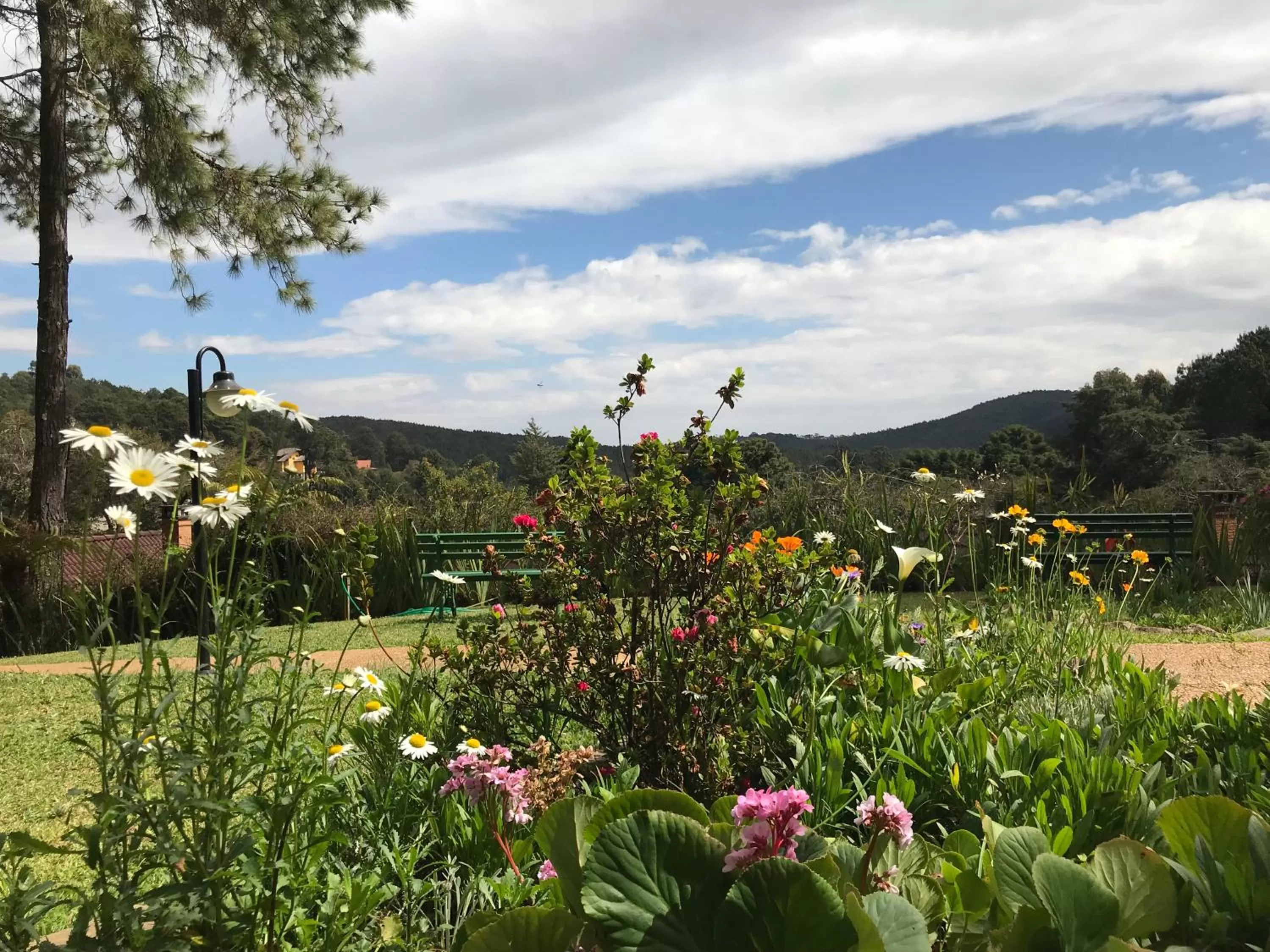 Garden in Pousada Aguia da Montanha