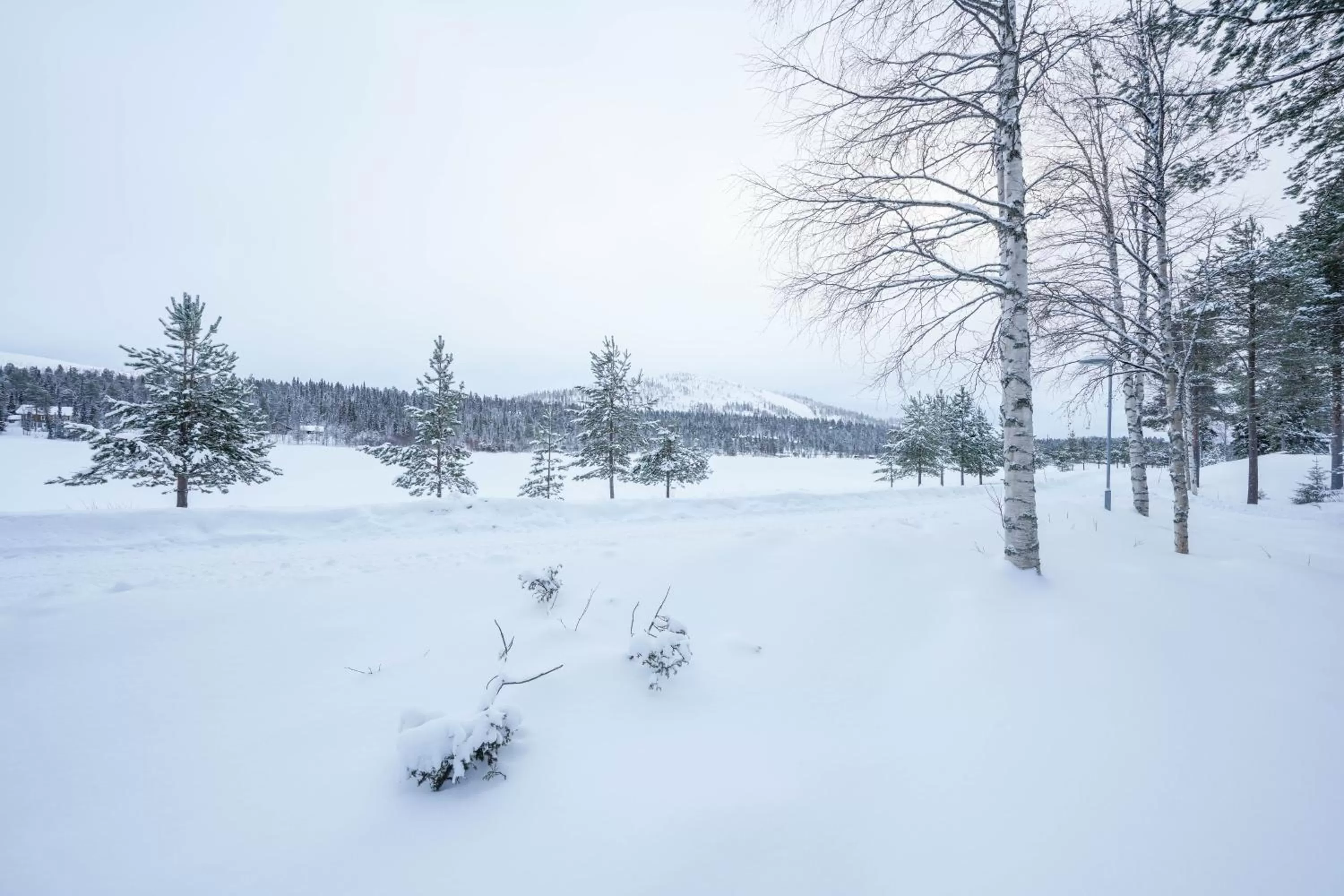 Day in Kuuru Lakeside