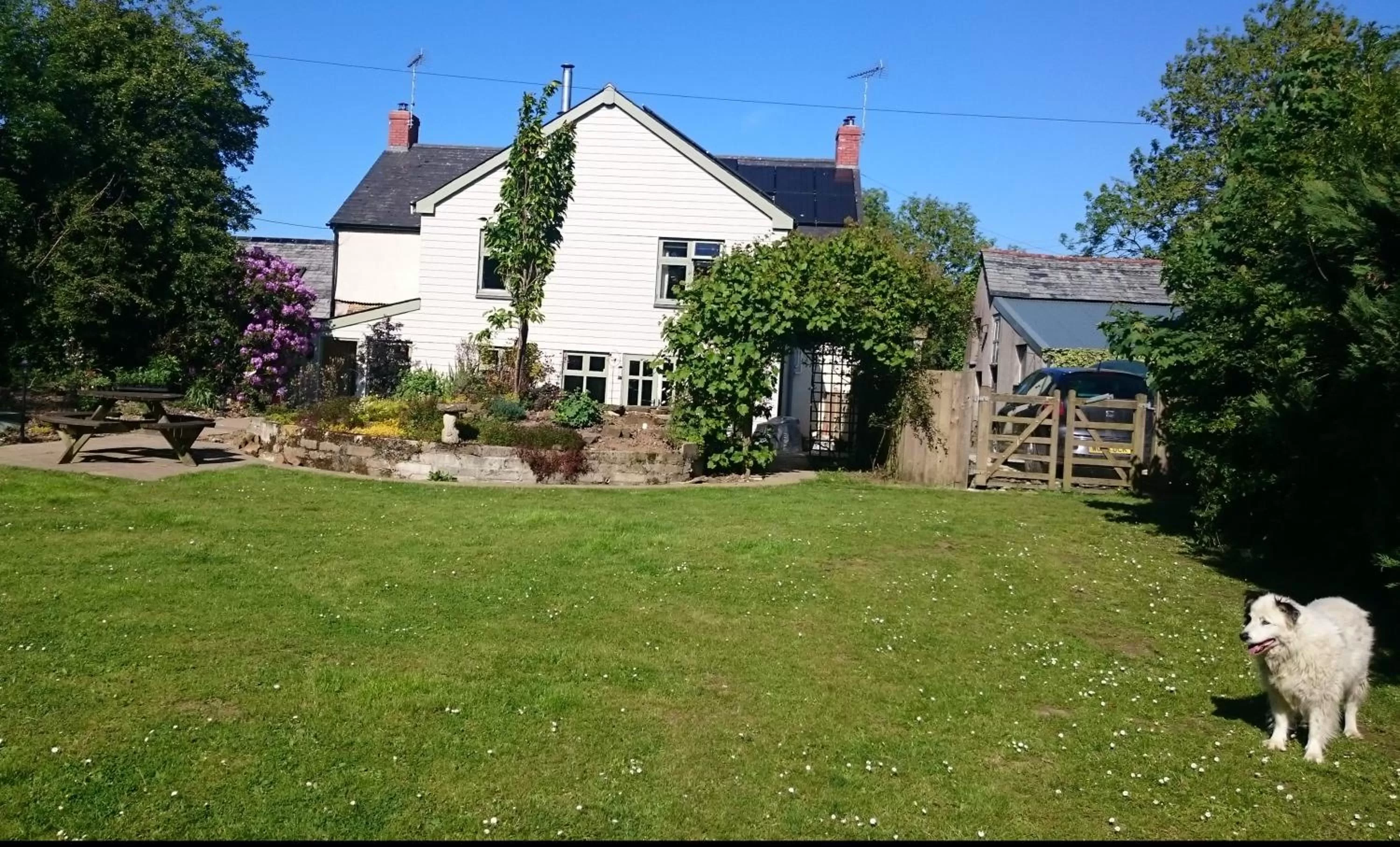 Property building in Claw House