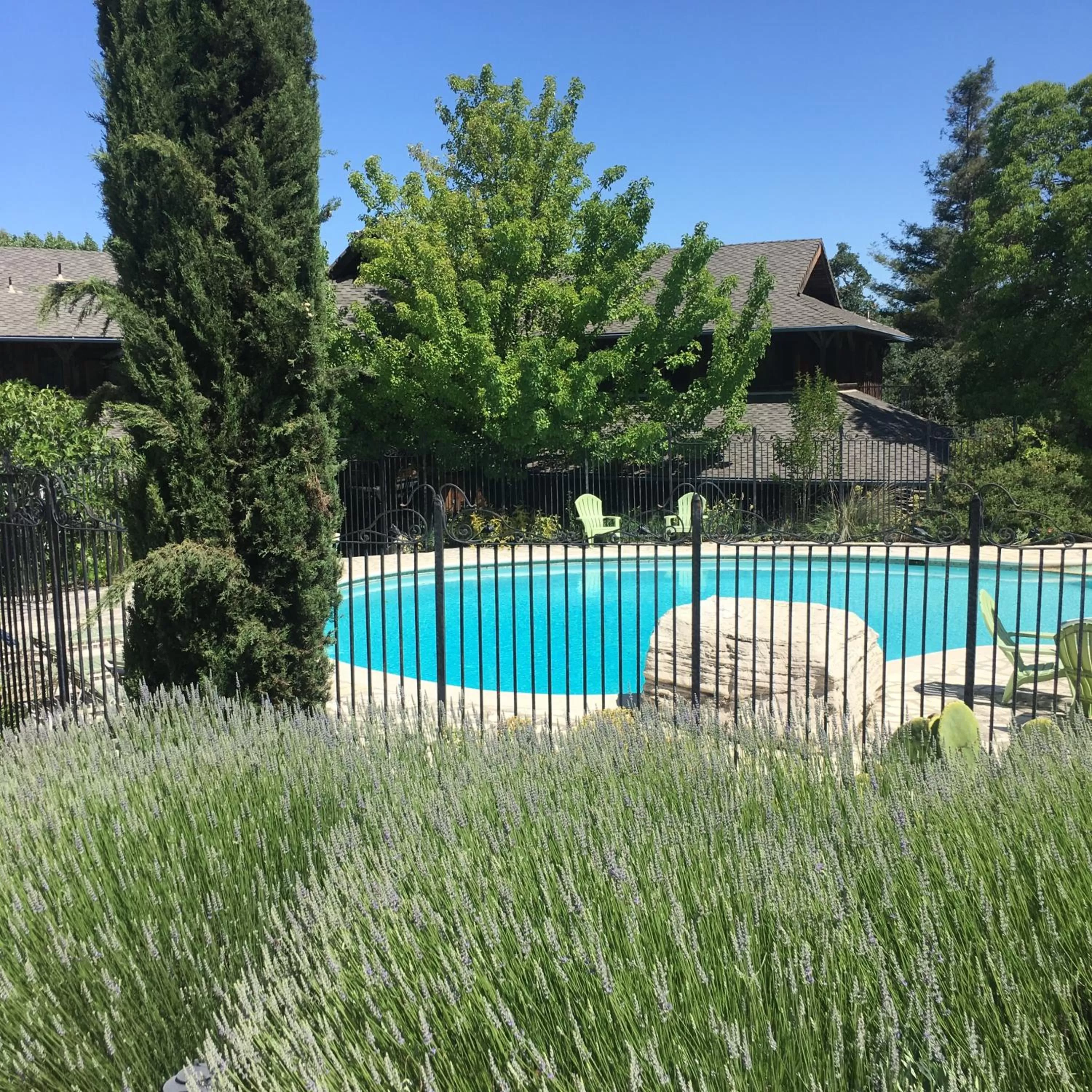 Swimming pool in Inn Paradiso
