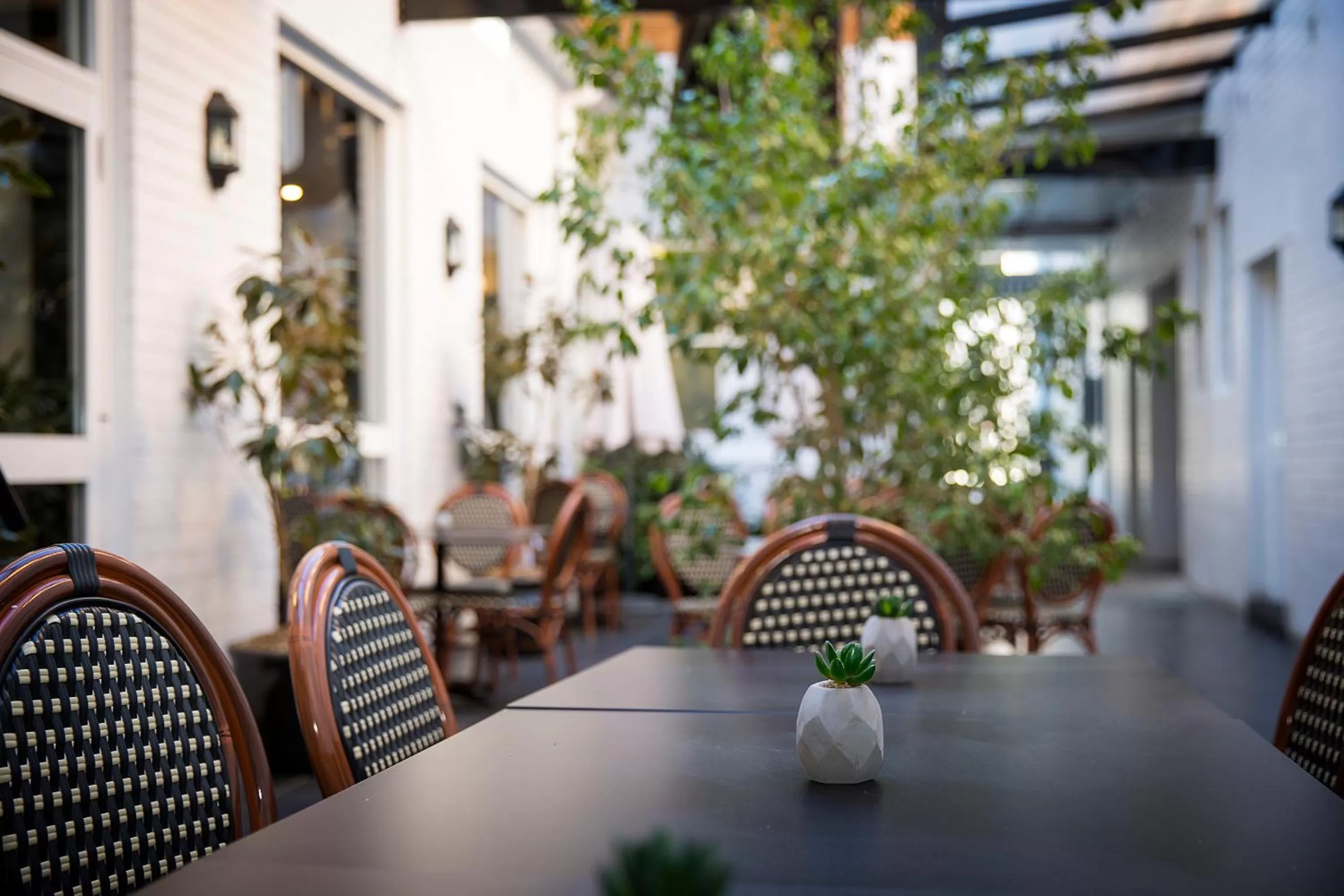 Restaurant/places to eat in CH Boutique Hotel & Apartments, an Ascend Collection Hotel