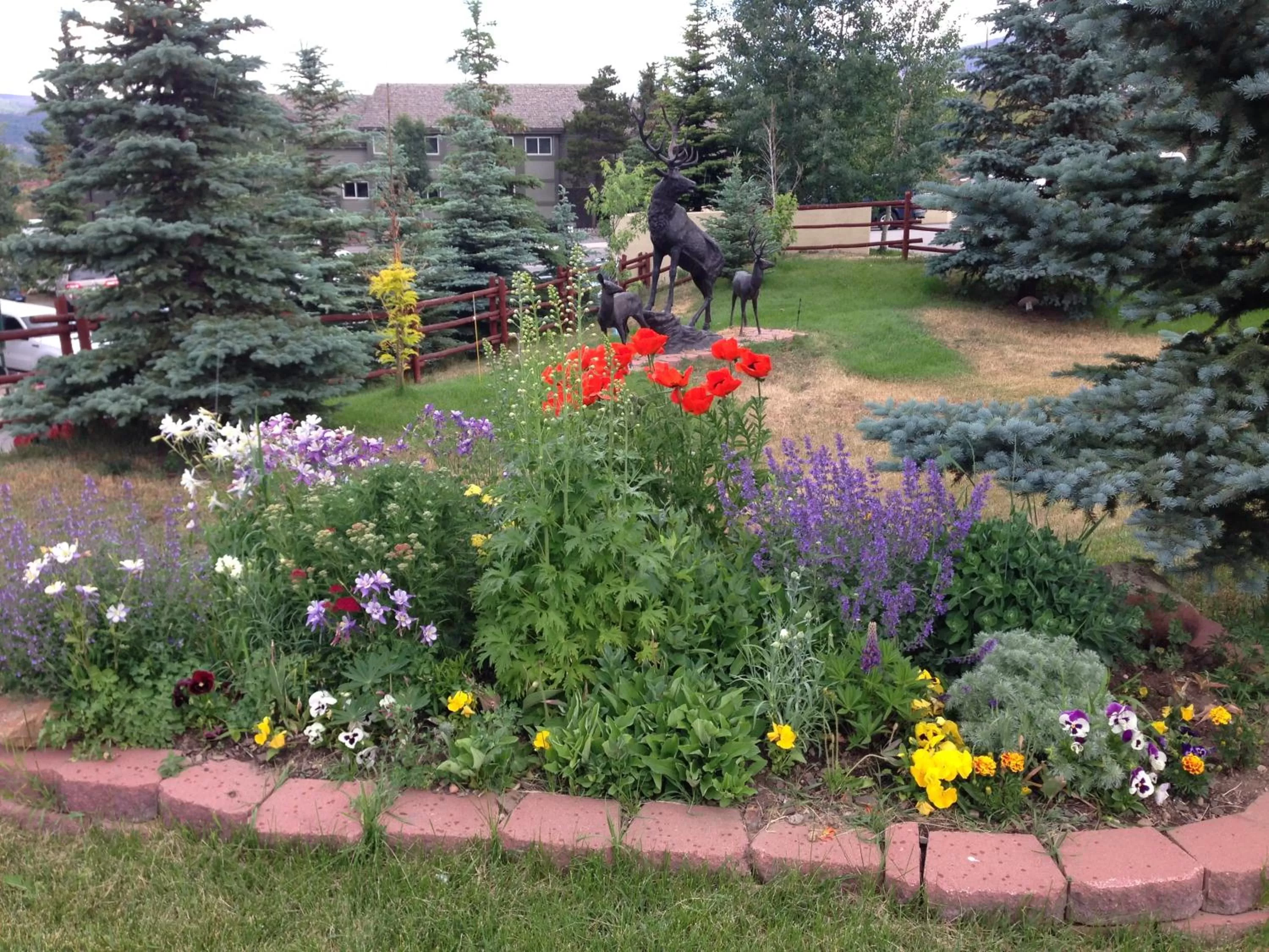Day, Garden in Dillon Inn