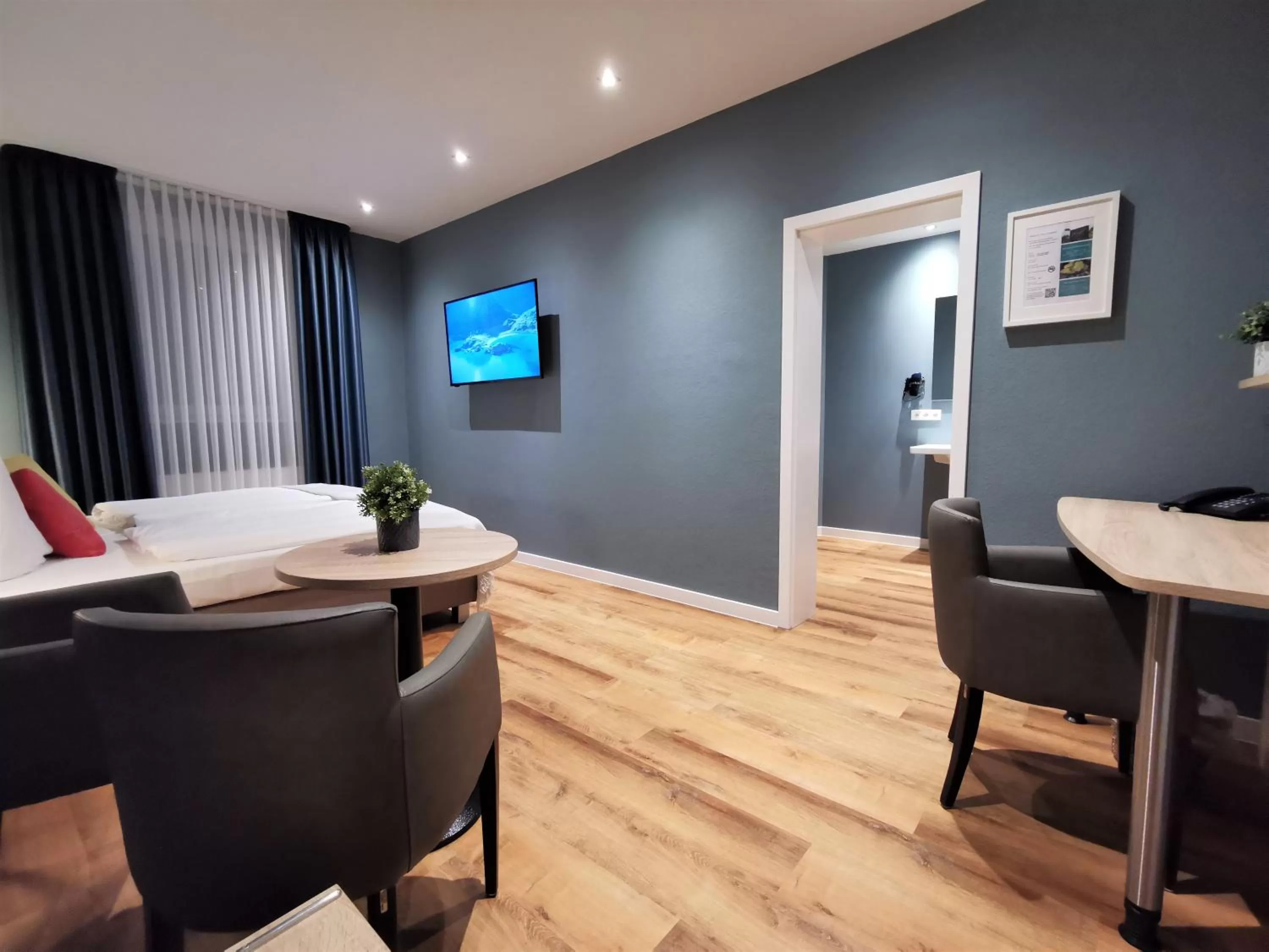 TV and multimedia in Hotel Restaurant Verst