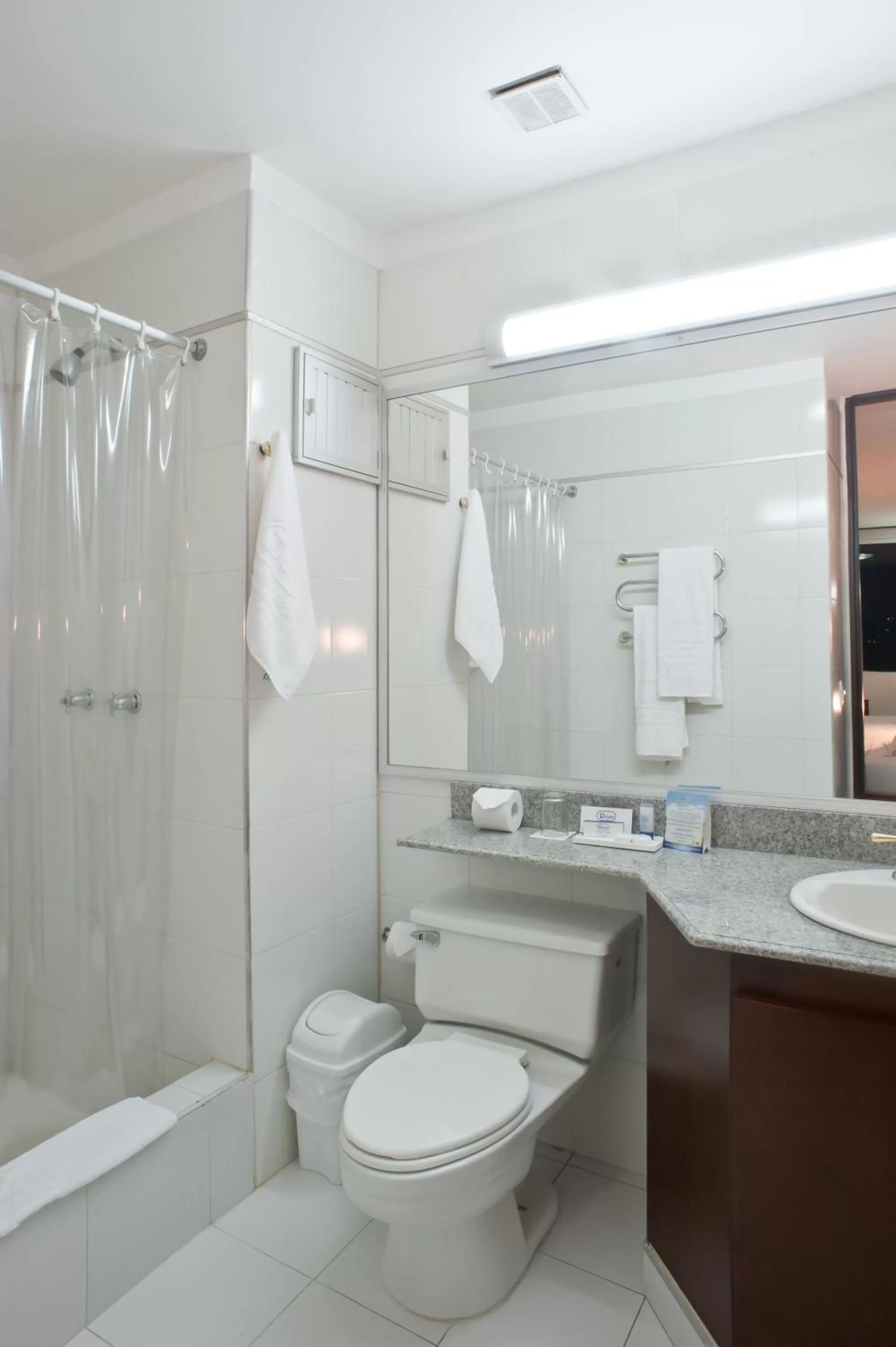 Bathroom in Hotel Dann Combeima