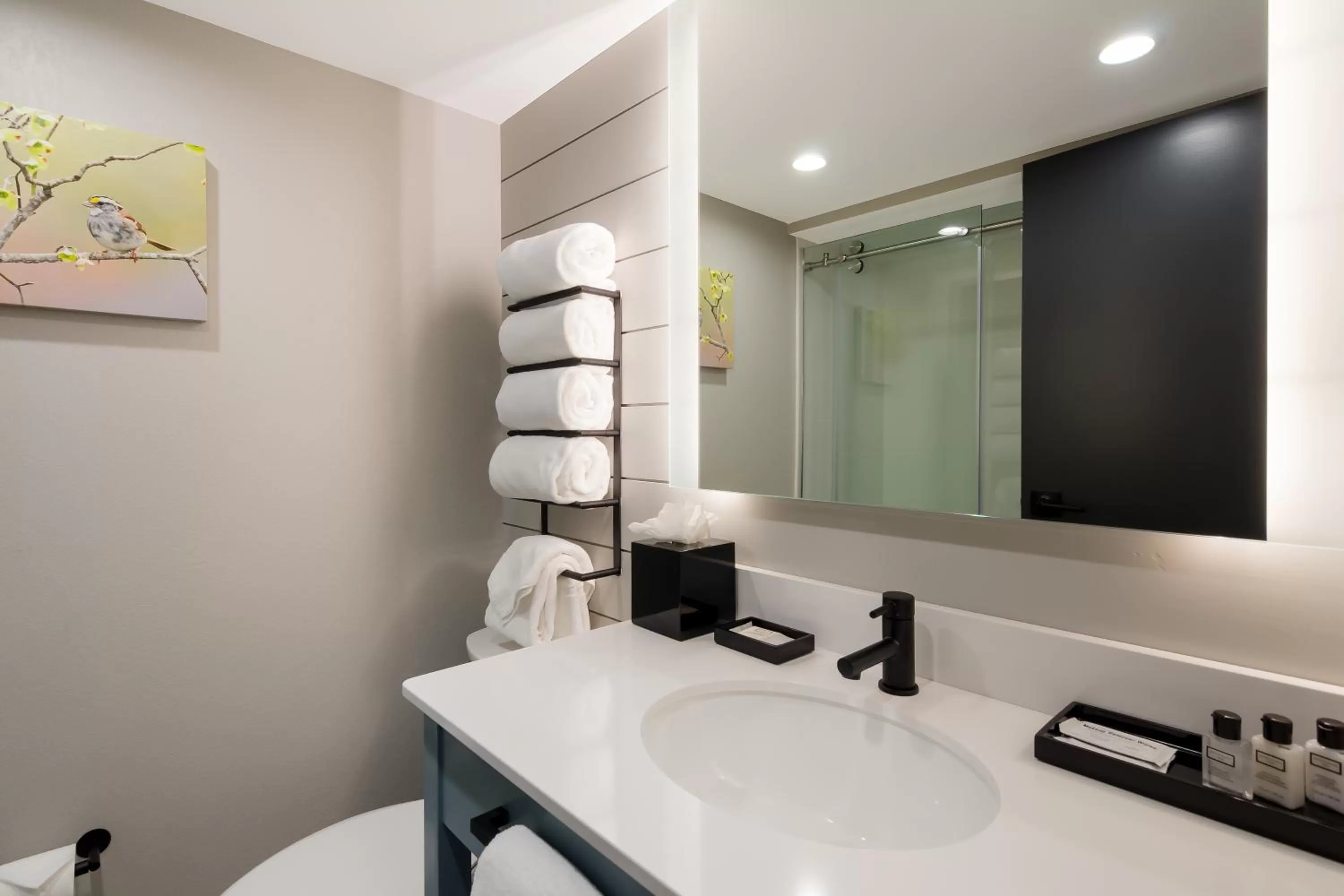 Bathroom in Graystone Lodge, an Ascend Collection Hotel