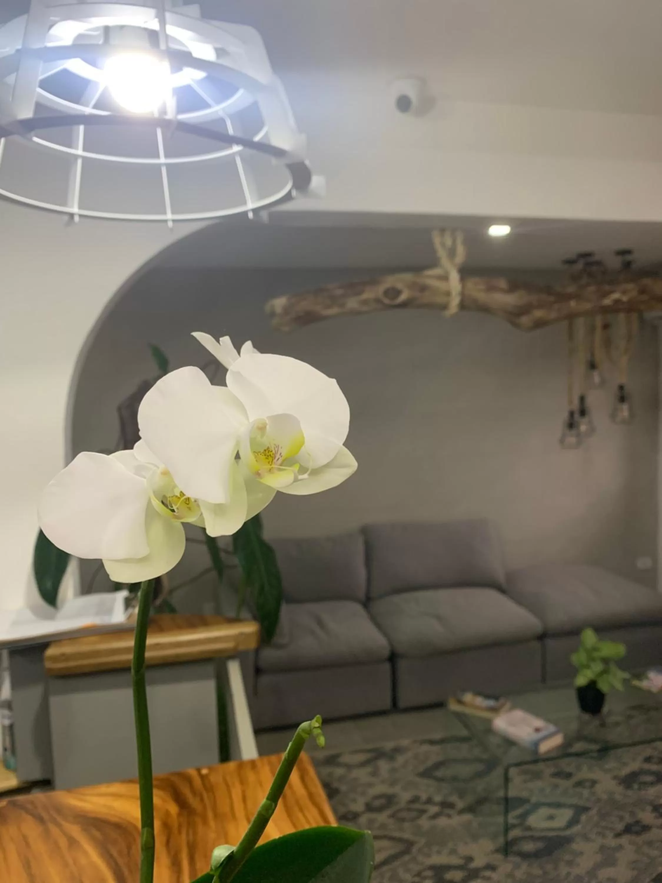 Lobby or reception in Berlor Airport Inn